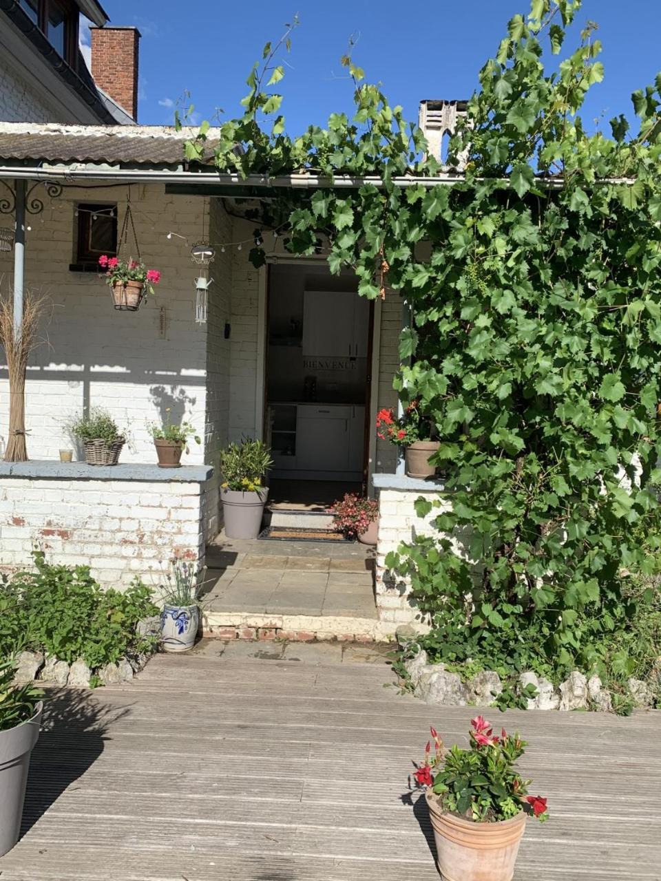 One-Bedroom House photo 3