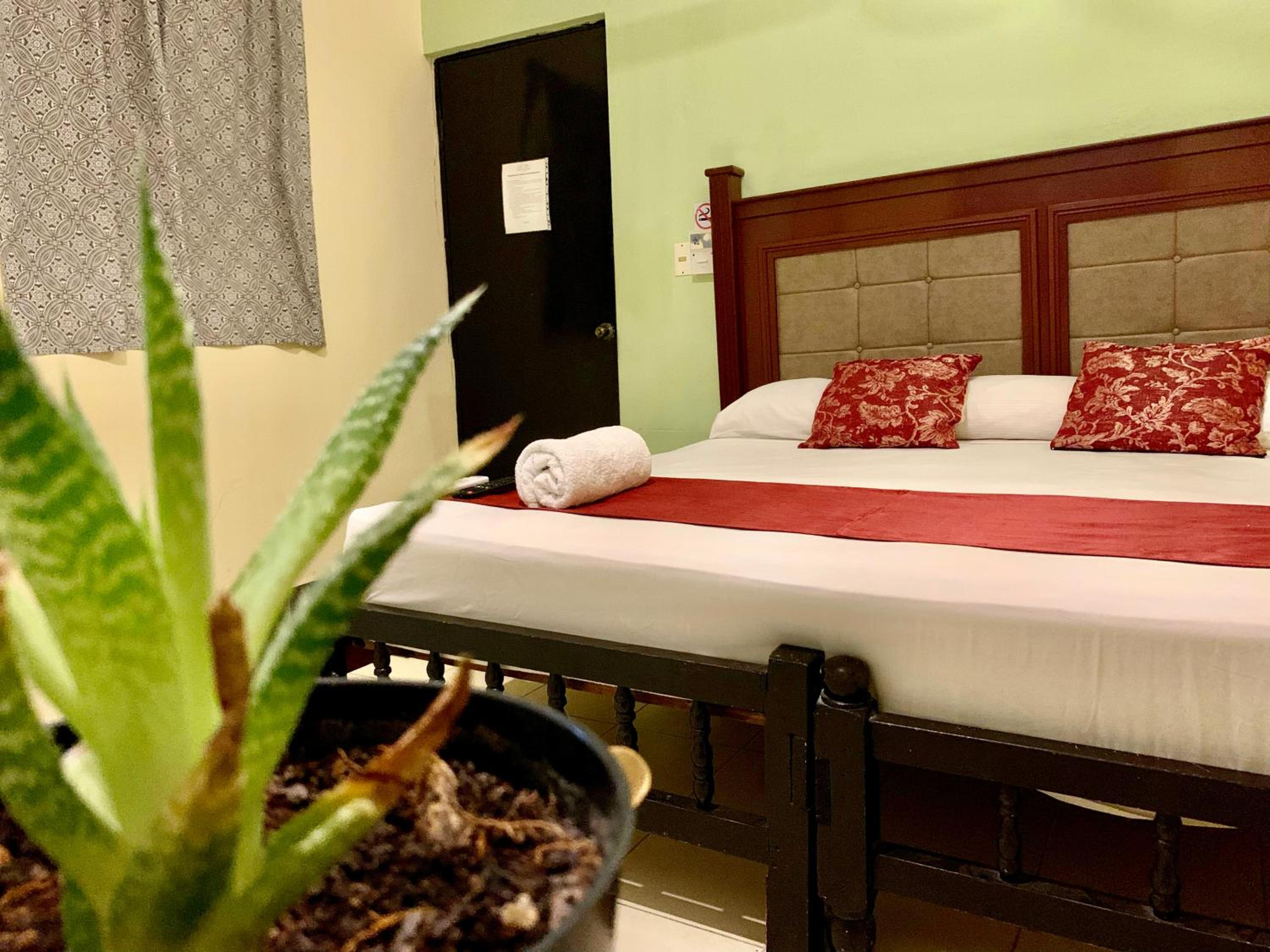Superior Double Room - Photo 14