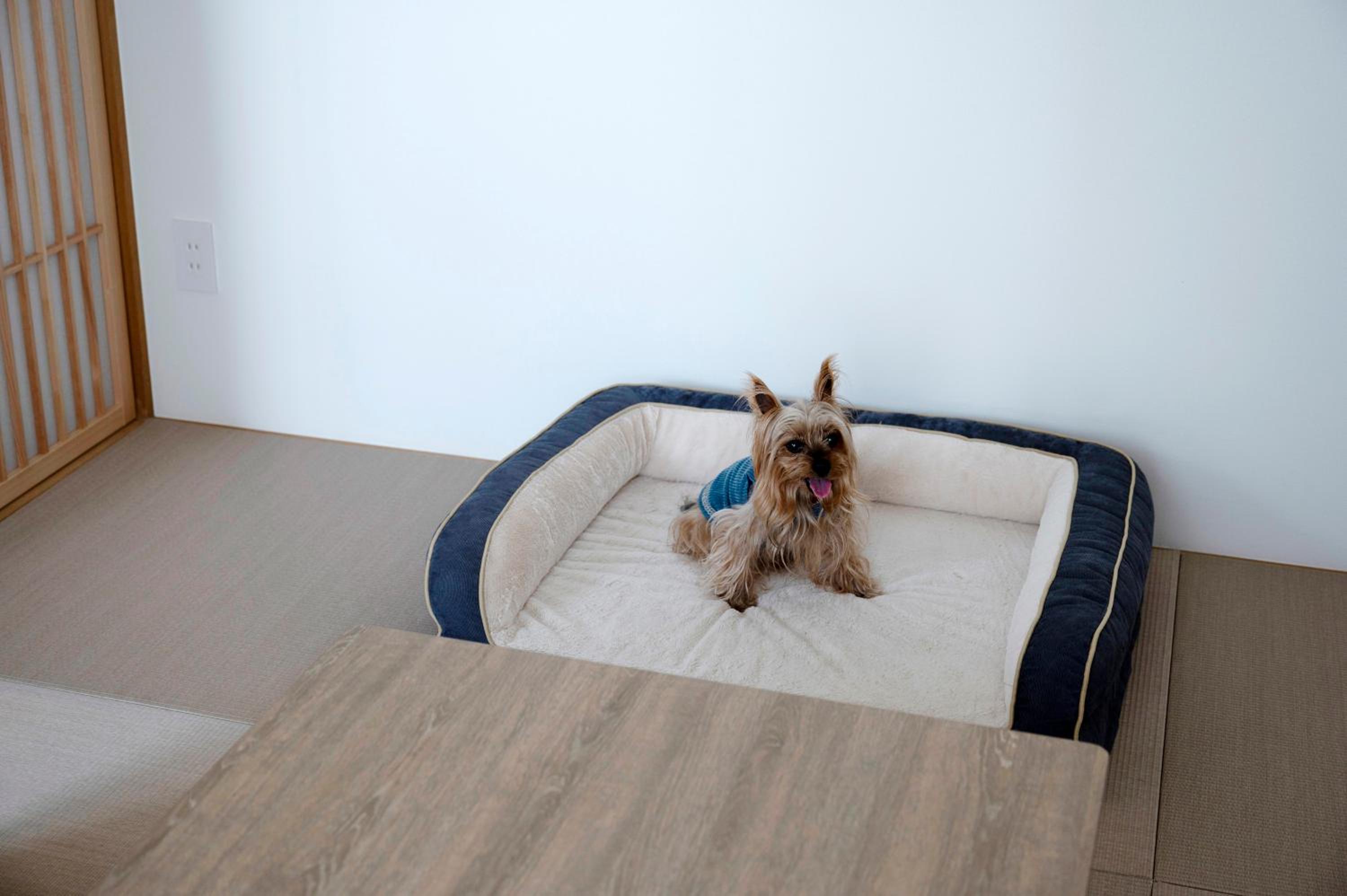 Japanese Western Room  - Non-Smoking - Dog Friendly photo 3