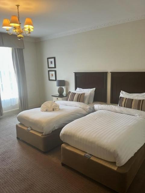 Twin Room - Photo 5