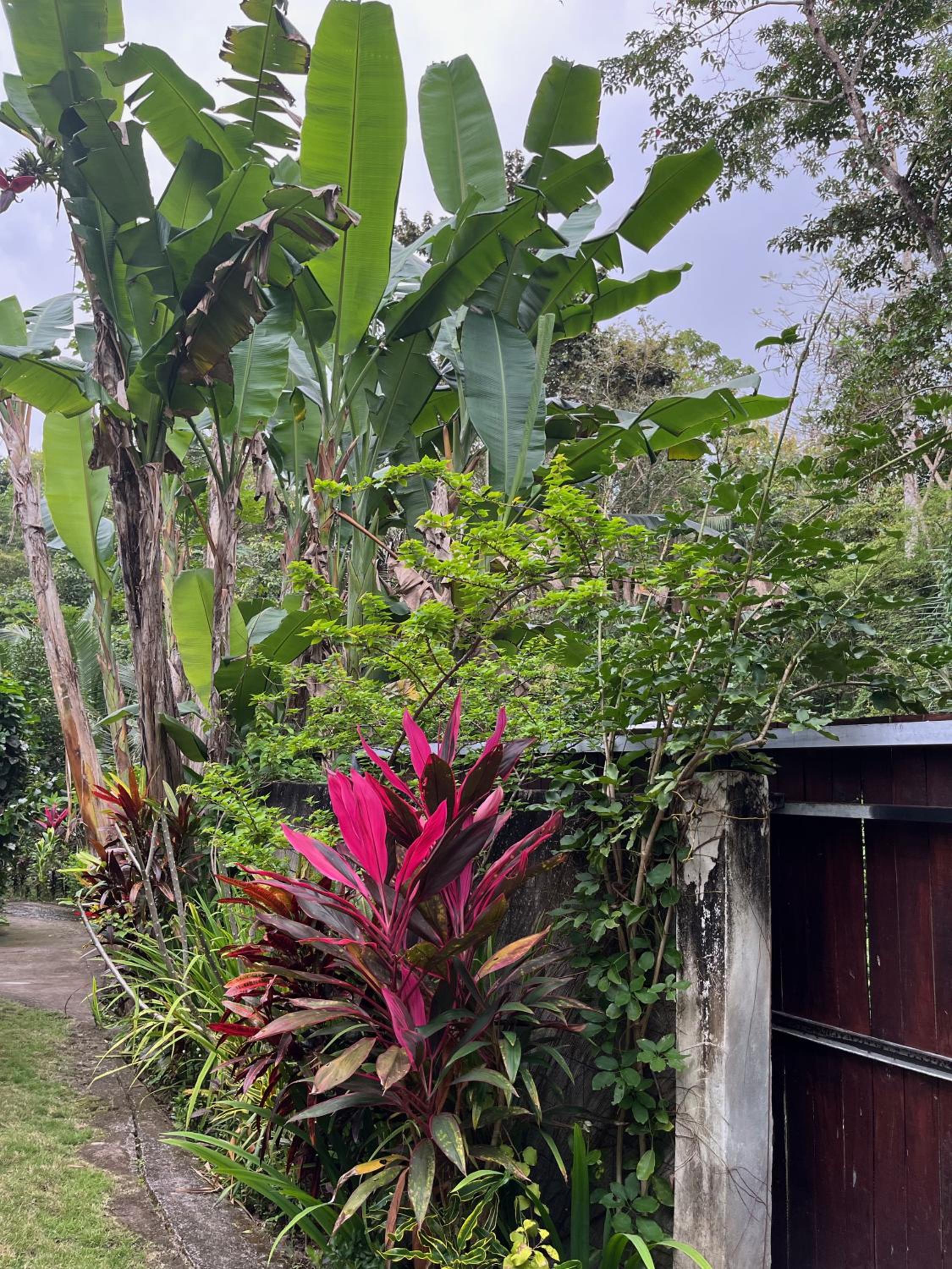 Deluxe Bungalow with Garden View - Photo 37