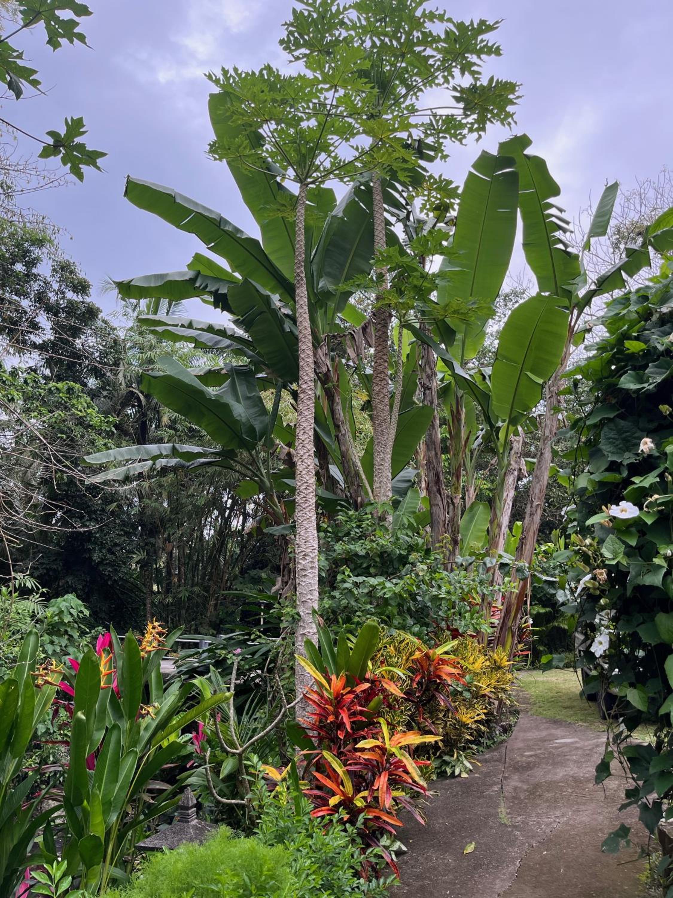 Deluxe Bungalow with Garden View - Photo 38