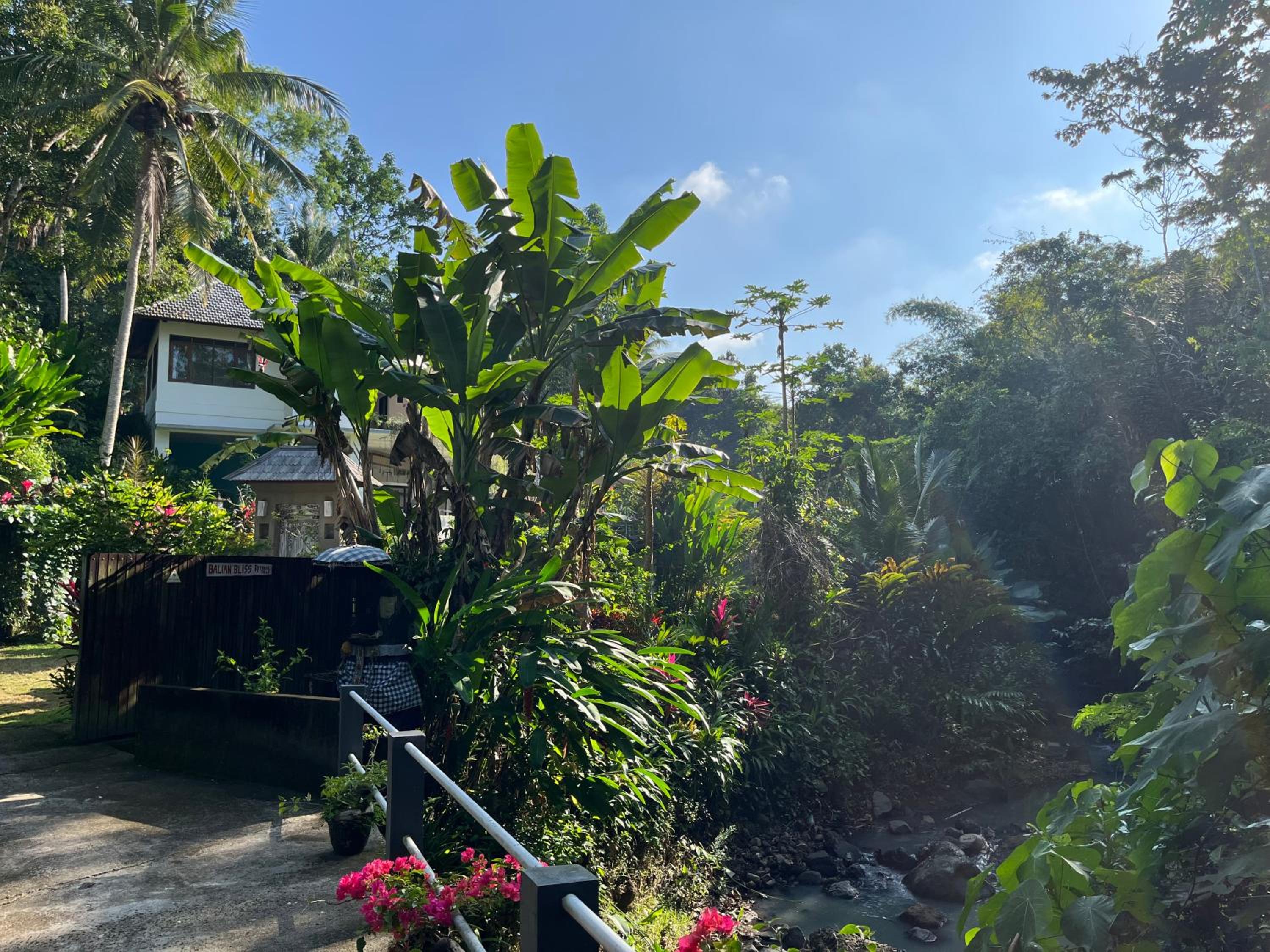 Deluxe Bungalow with Garden View - Photo 4
