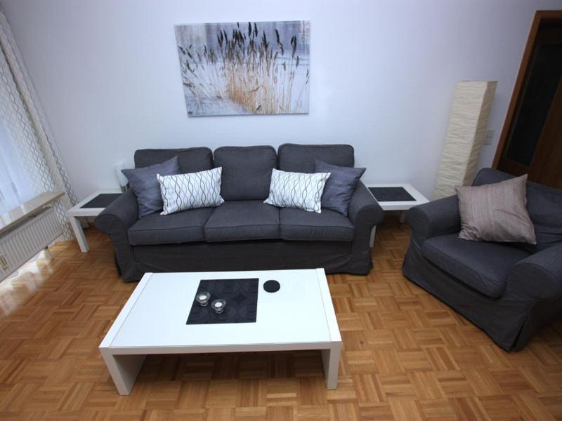 Superior One-Bedroom Apartment with Balcony photo 3