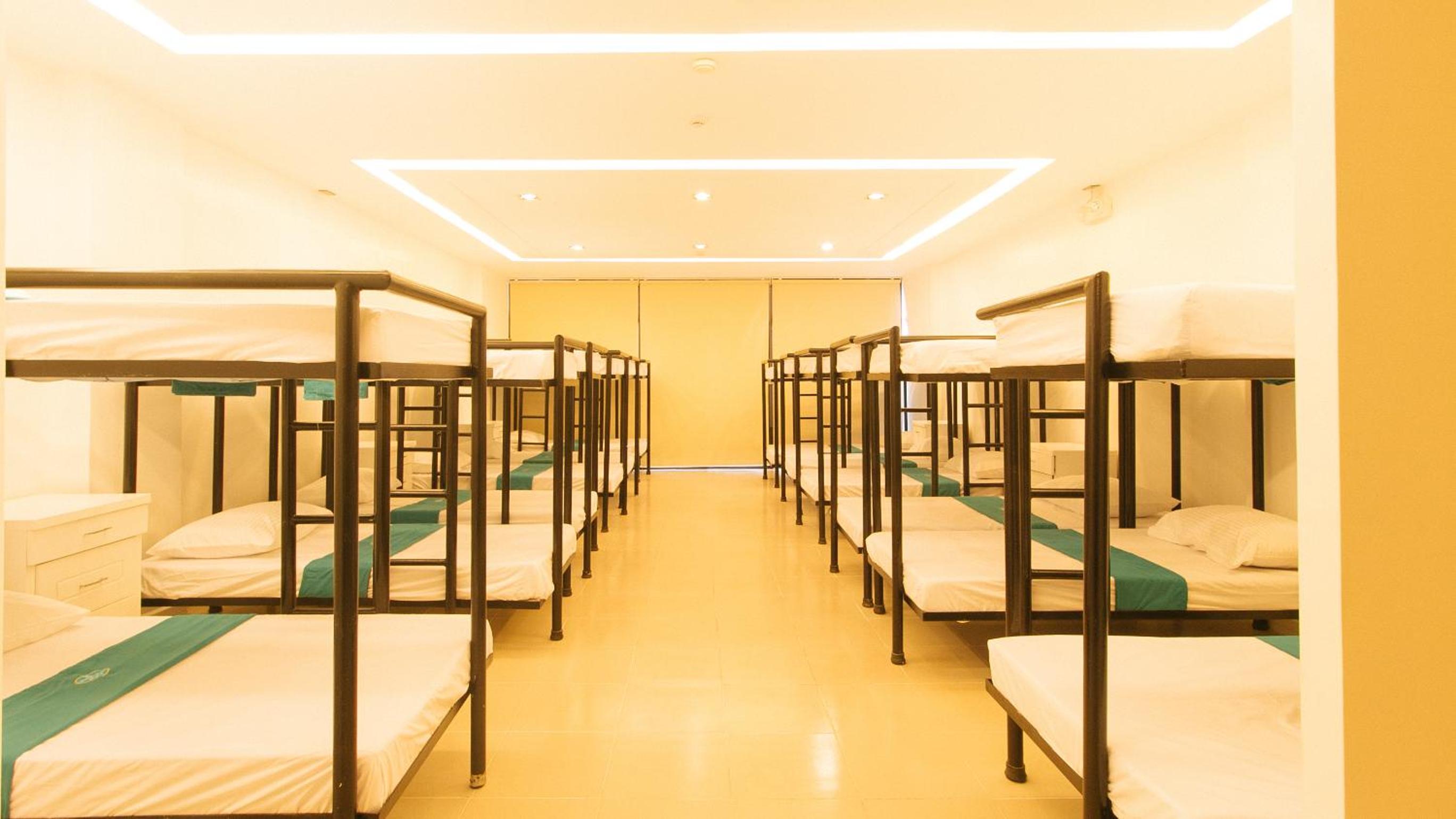 Bunk Bed in Mixed Dormitory Room photo 1