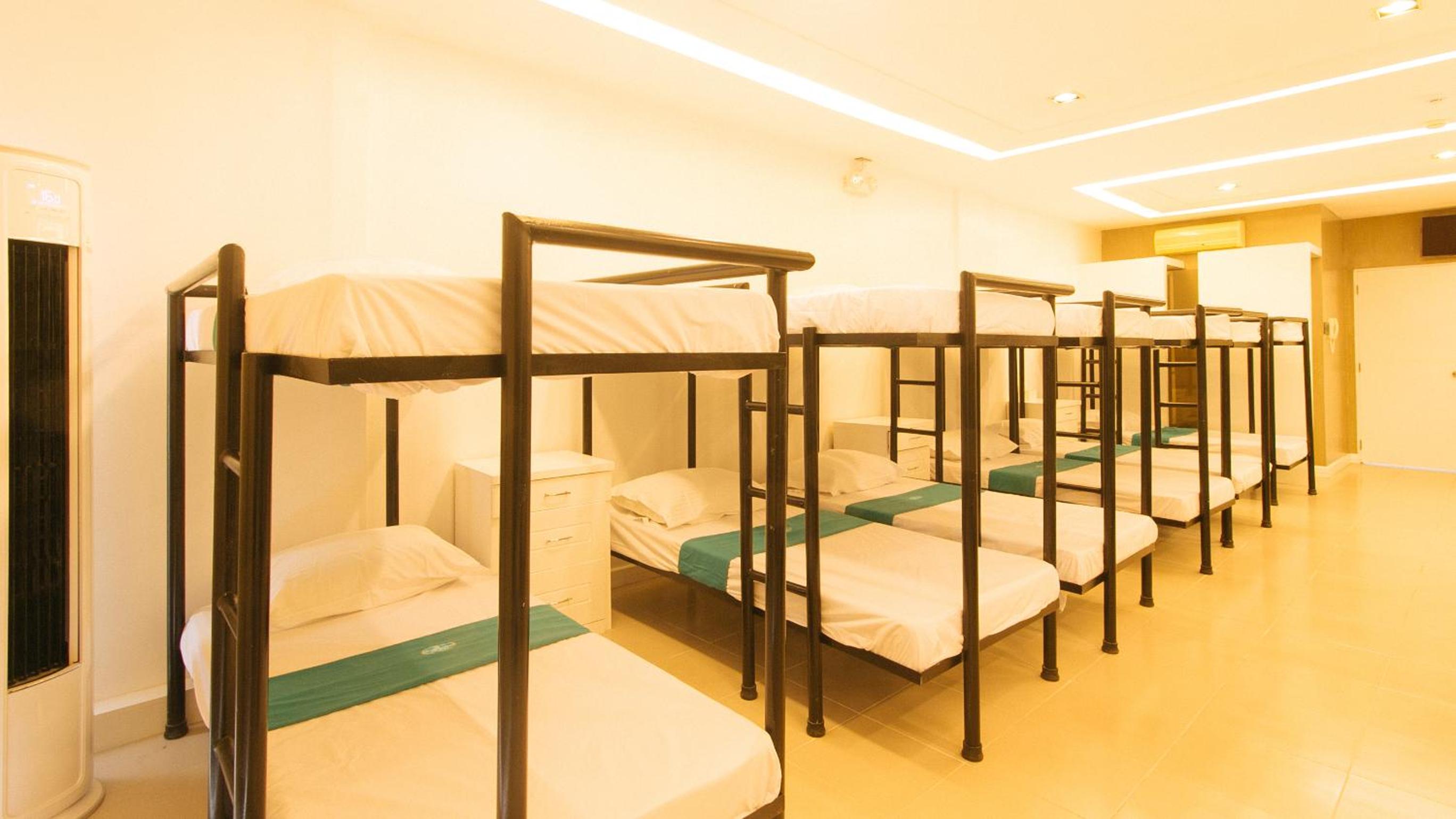 Bunk Bed in Mixed Dormitory Room photo 2