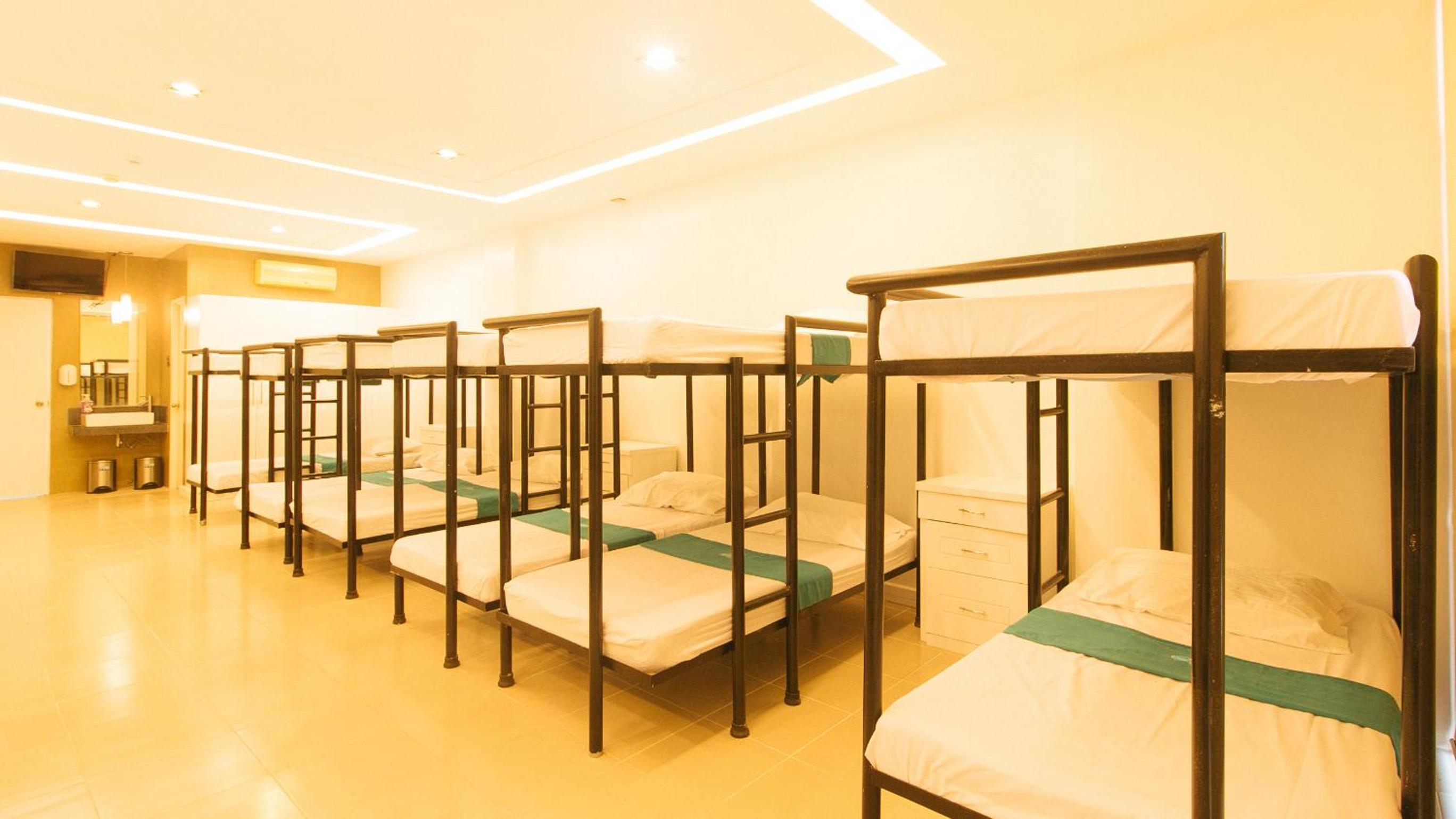 Bunk Bed in Mixed Dormitory Room