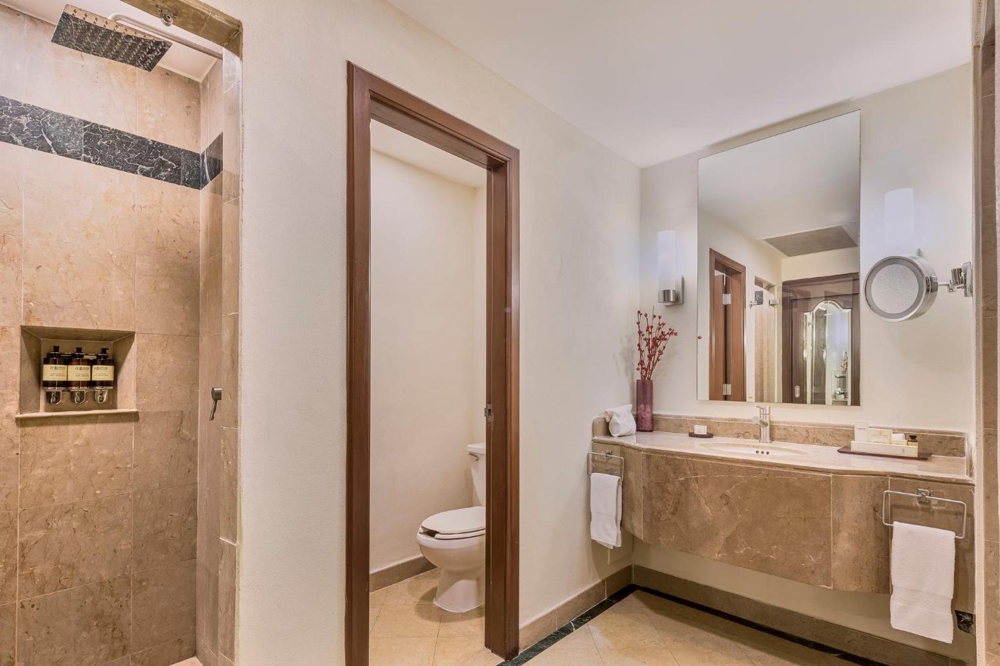 Junior Suite 1 King