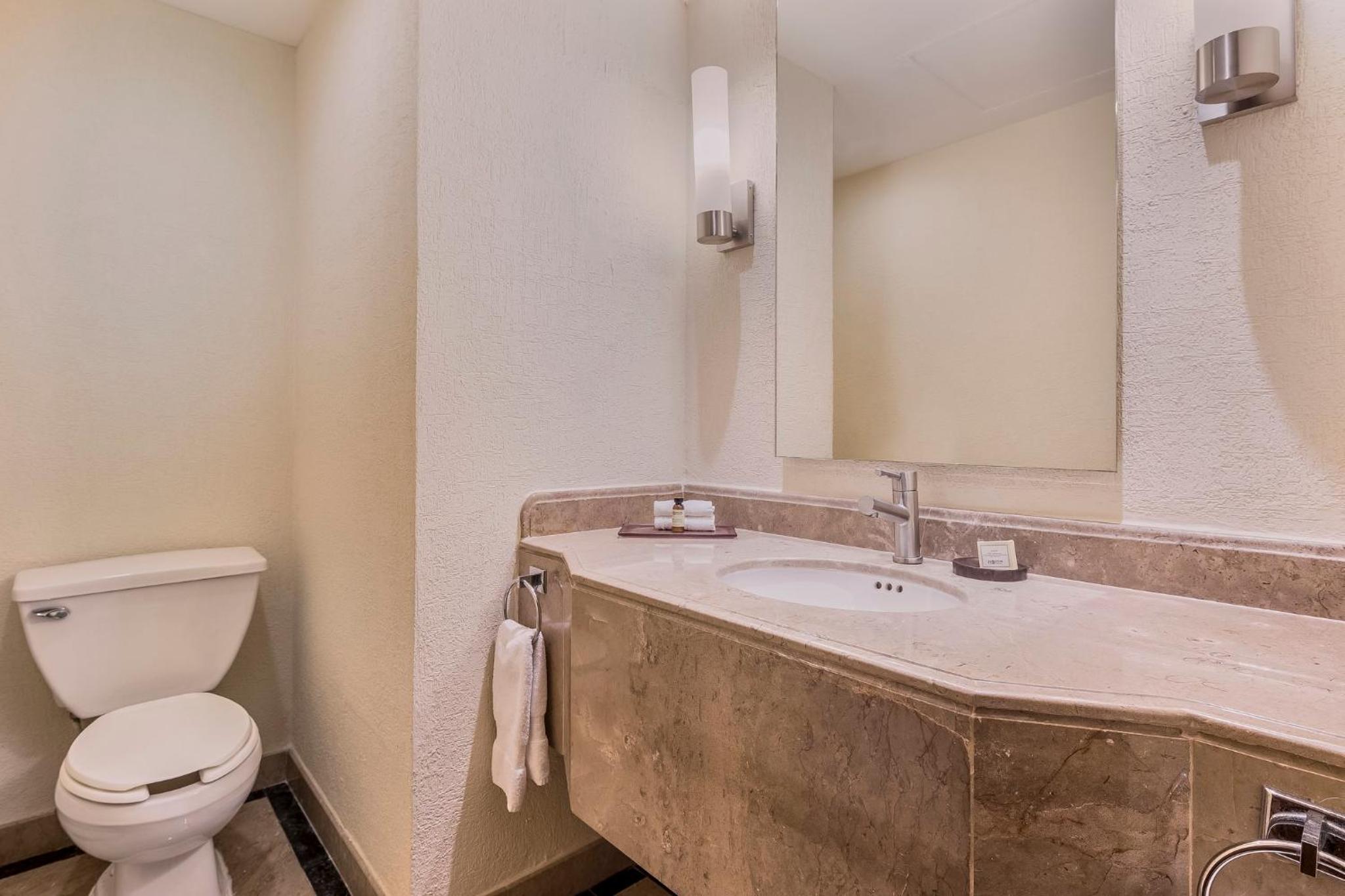 Junior Suite 1 King
