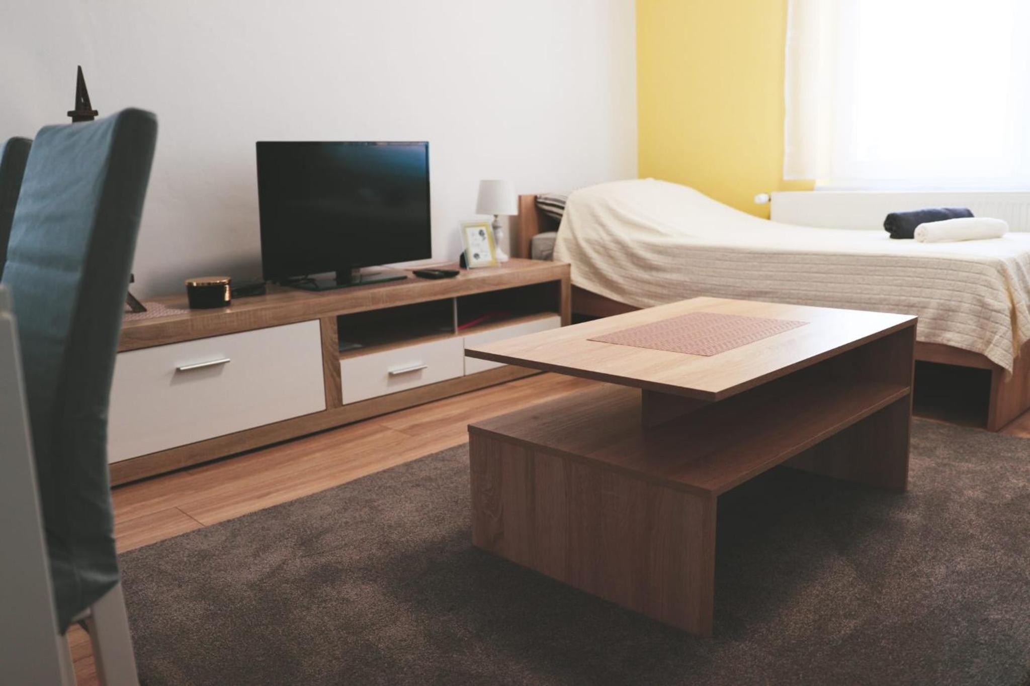 Studio Apartment photo 2