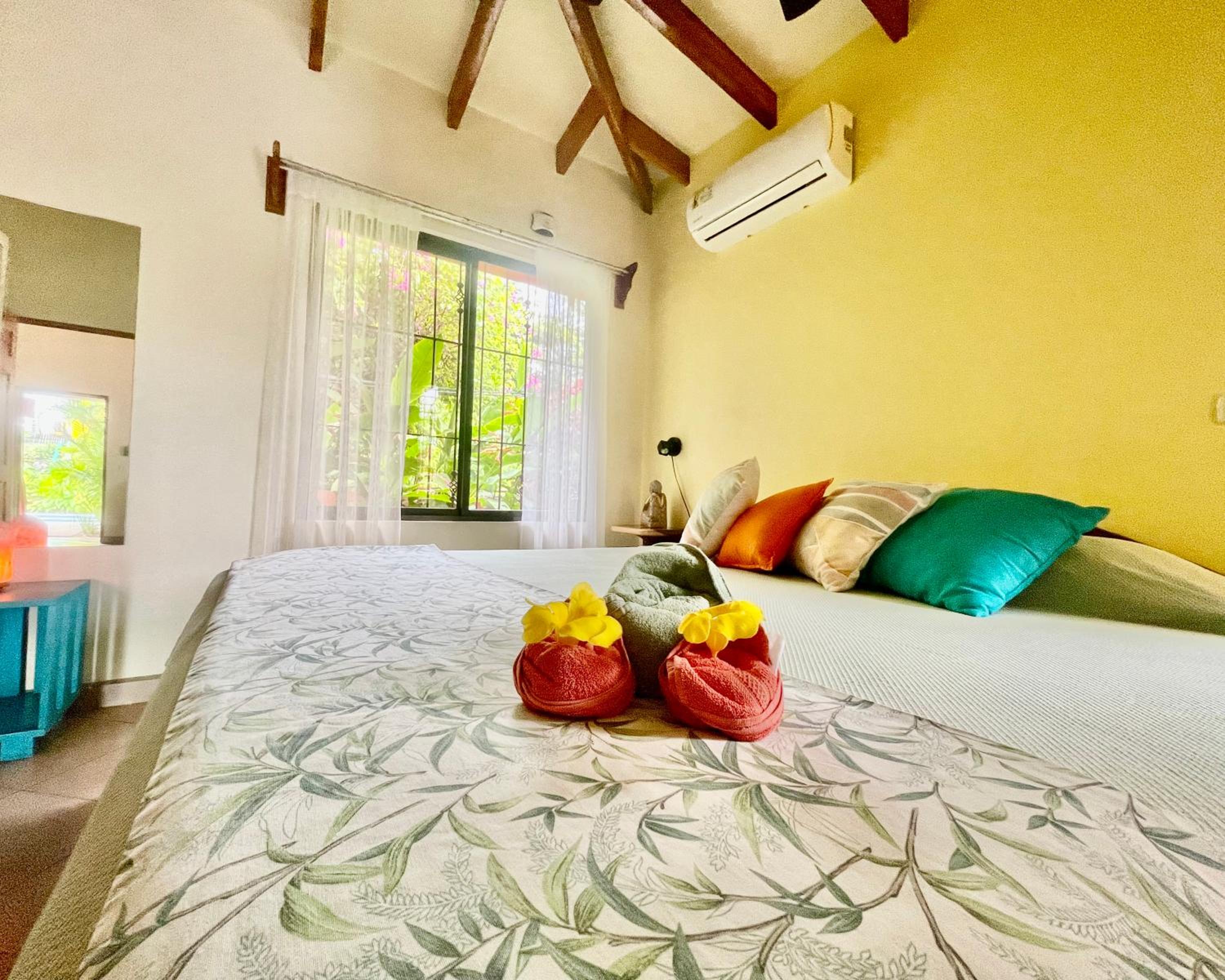 One-Bedroom Apartment - Free Yoga Class photo 1
