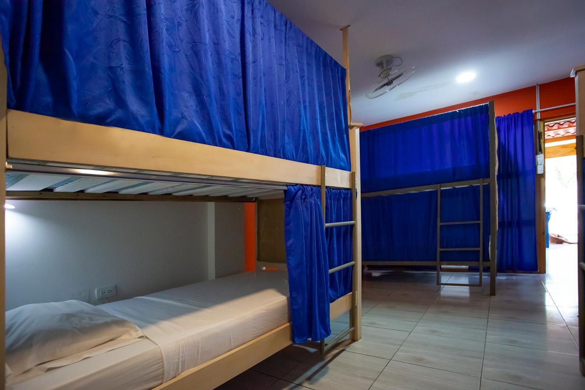 Bunk Bed in Mixed Dormitory Room photo 3
