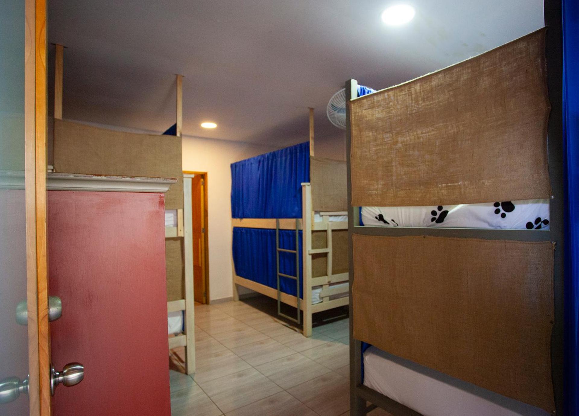 Bunk Bed in Mixed Dormitory Room photo 2