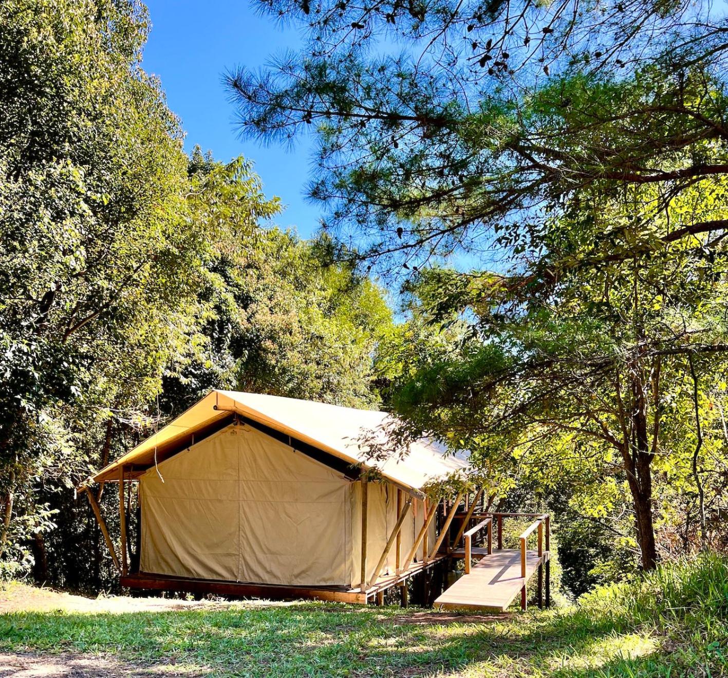 Tent photo 3