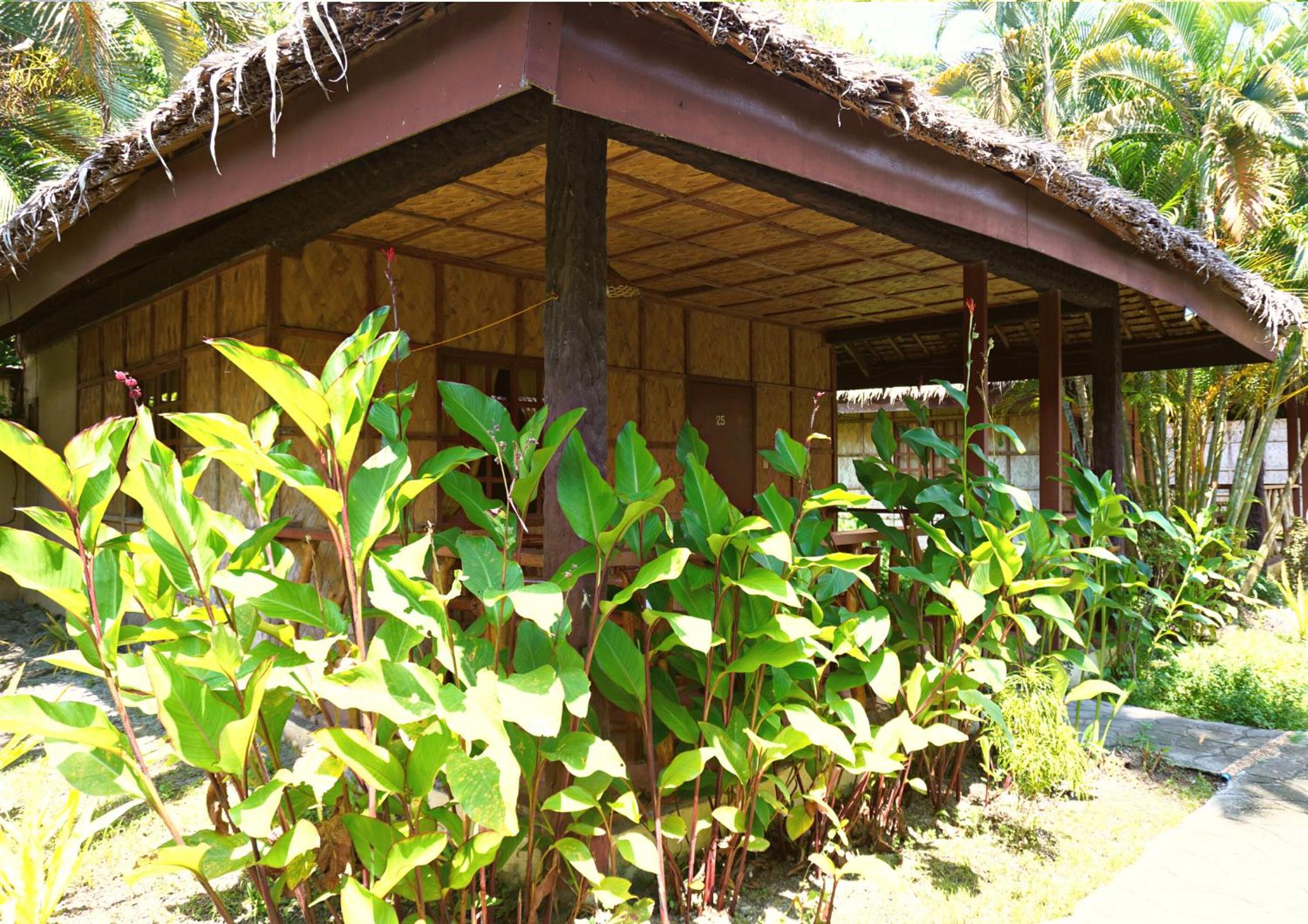 Deluxe Bungalow with Garden View - Photo 4