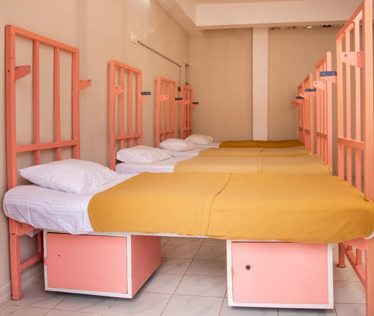 Bunk Bed in Mixed Dormitory Room photo 1