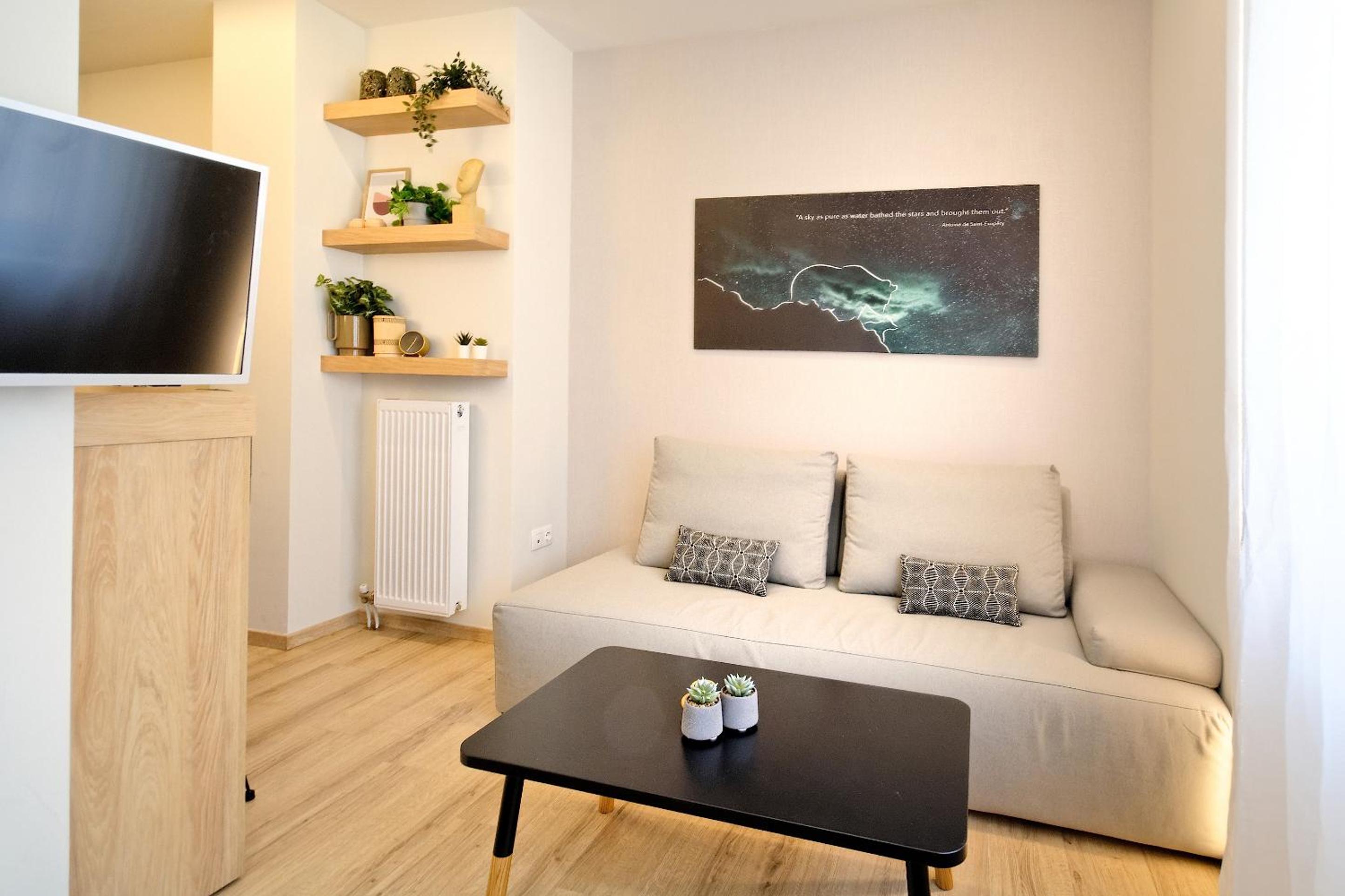 Standard One-Bedroom Apartment photo 3
