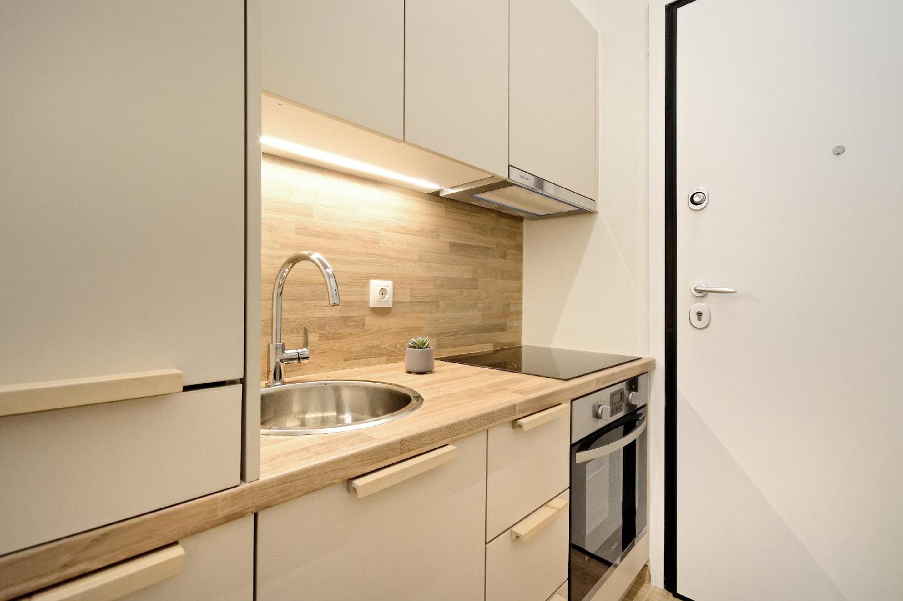 Standard One-Bedroom Apartment photo 2