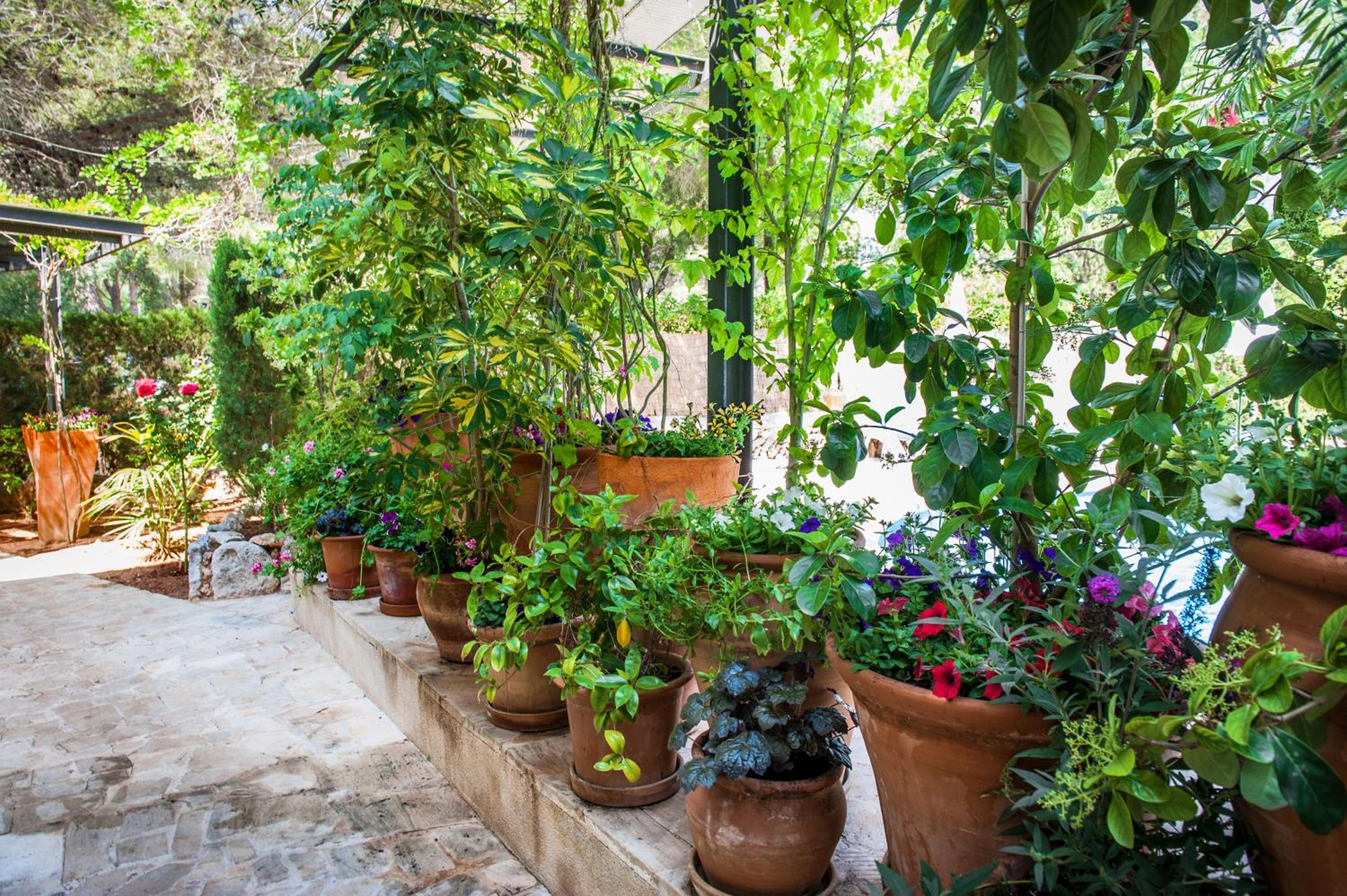 Studio with Terrace