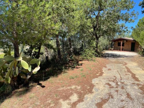 Holiday Home photo 2