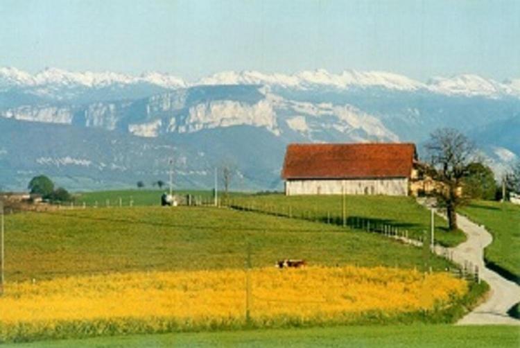 Studio with Mountain View photo 1