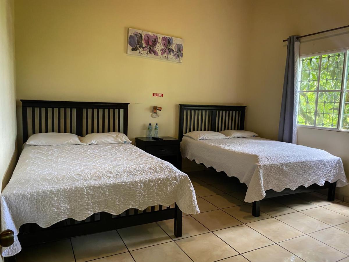 Twin Room photo 1