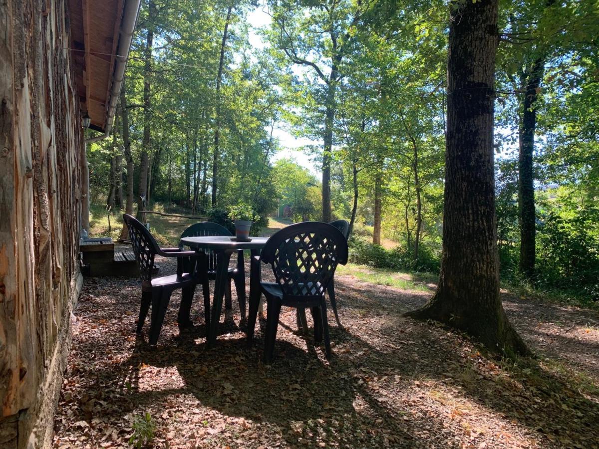 Chalet (6 Adults) photo 1