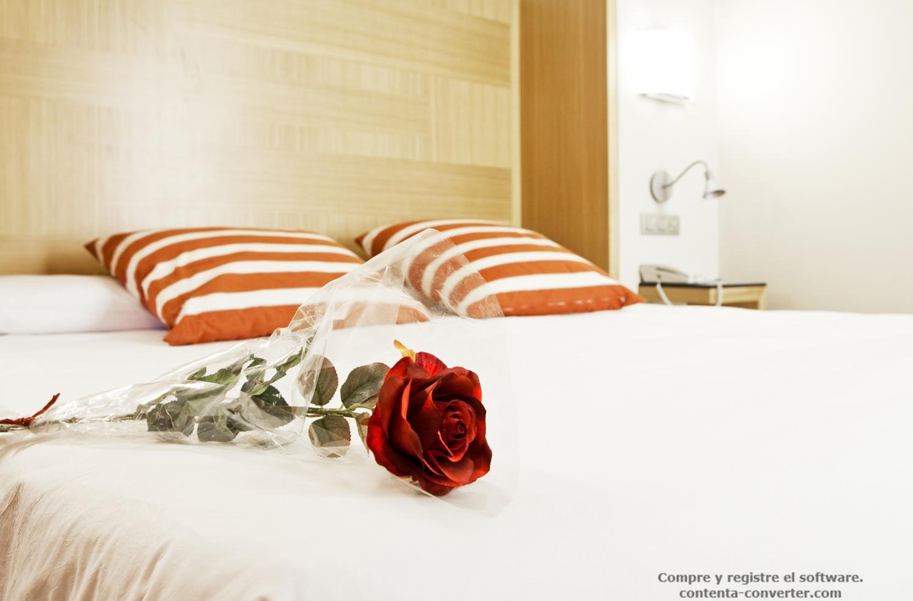 Junior Suite - Photo 4