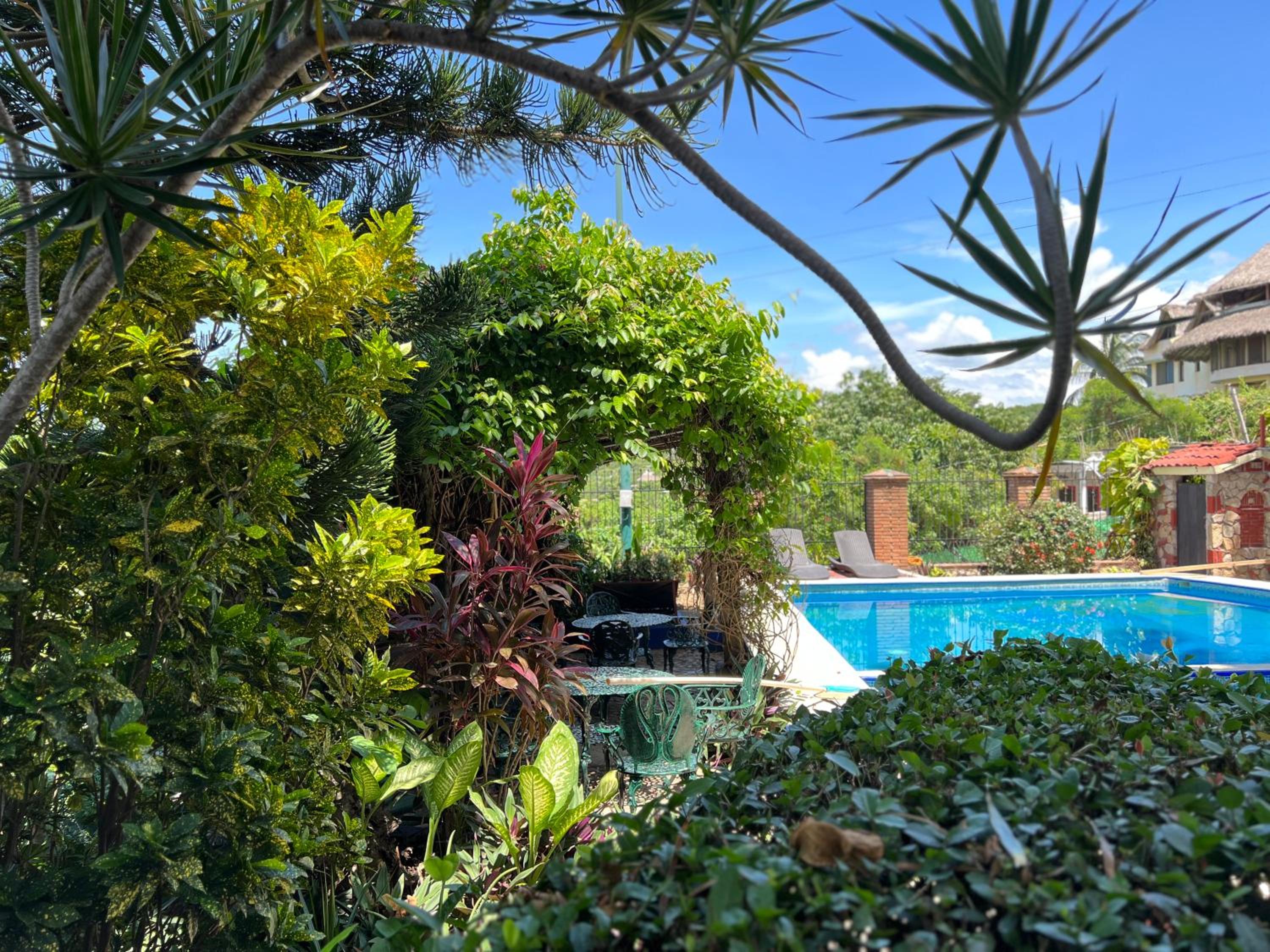 Deluxe Bungalow with Garden View photo 2