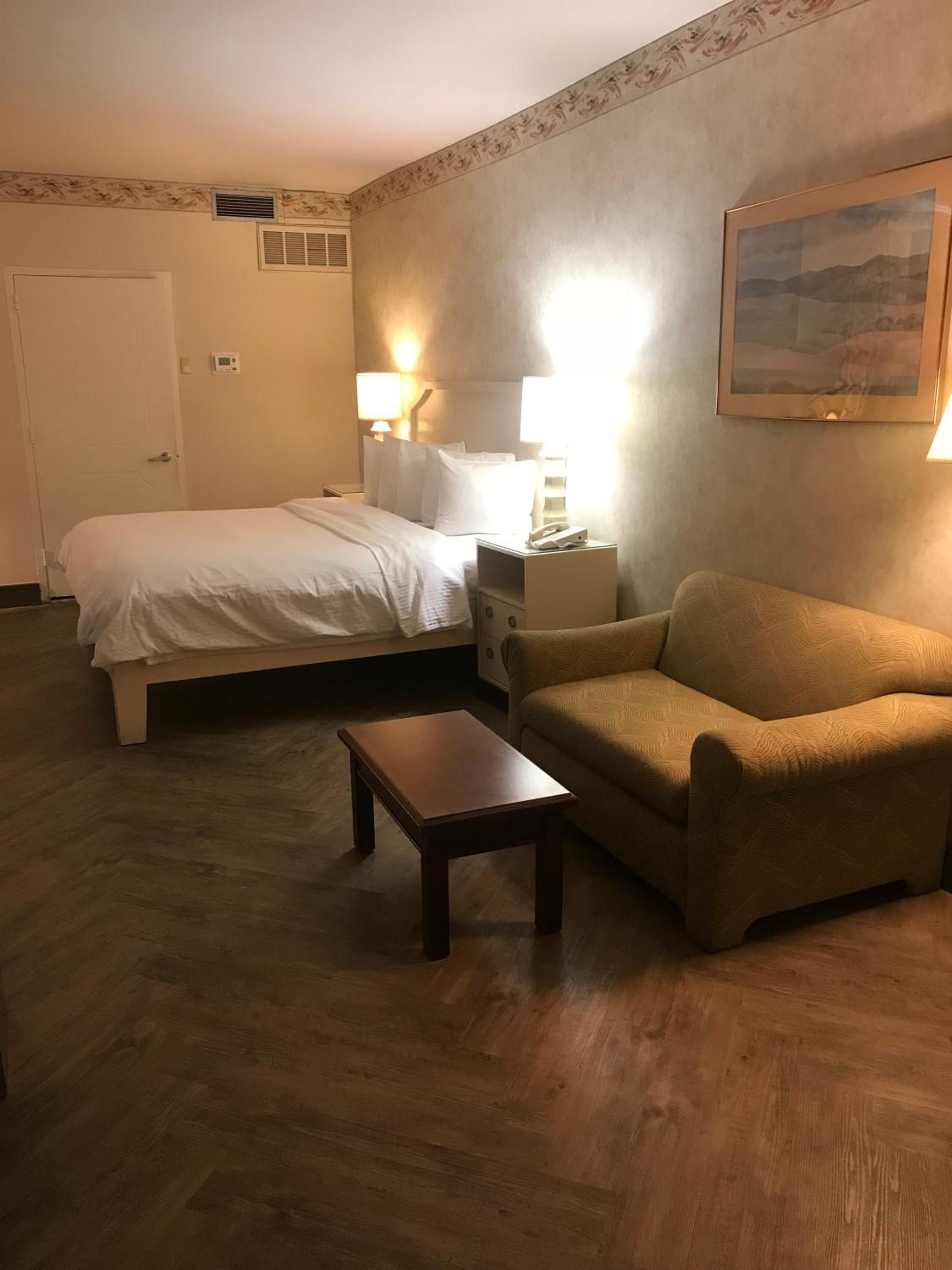Standard One King Room