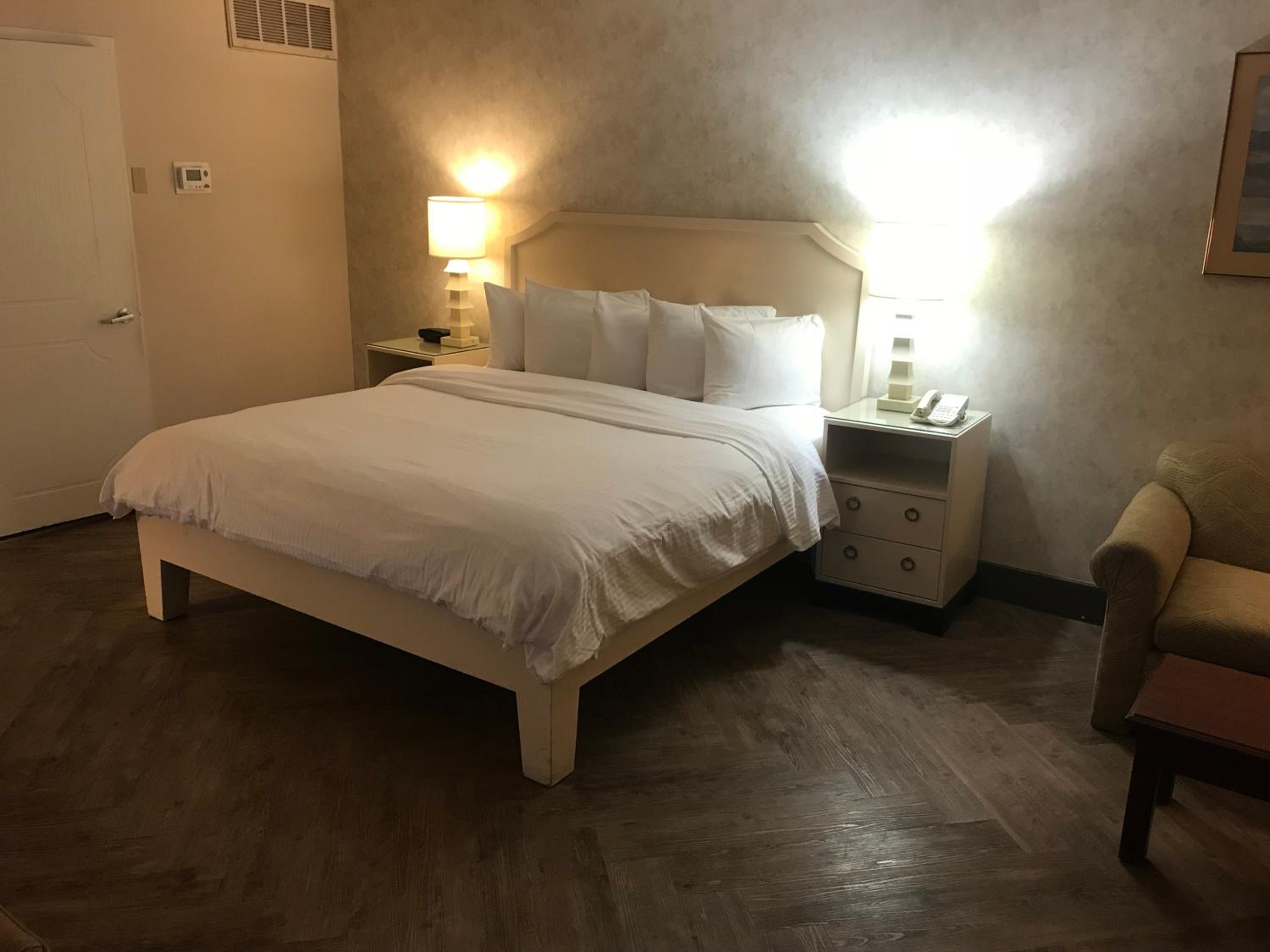 Standard One King Room