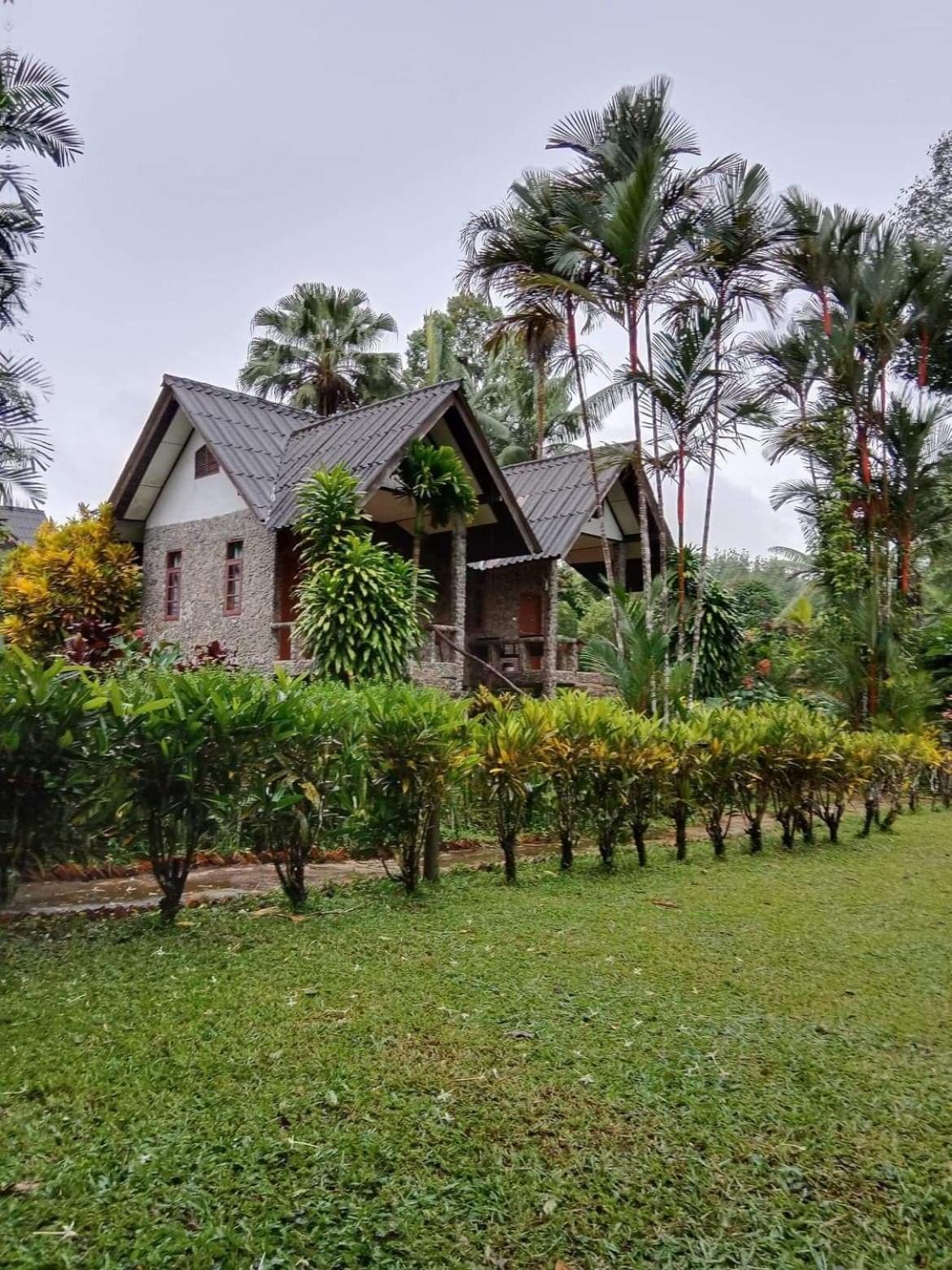Bungalow (4 Adults) with Air Conditioning photo 2
