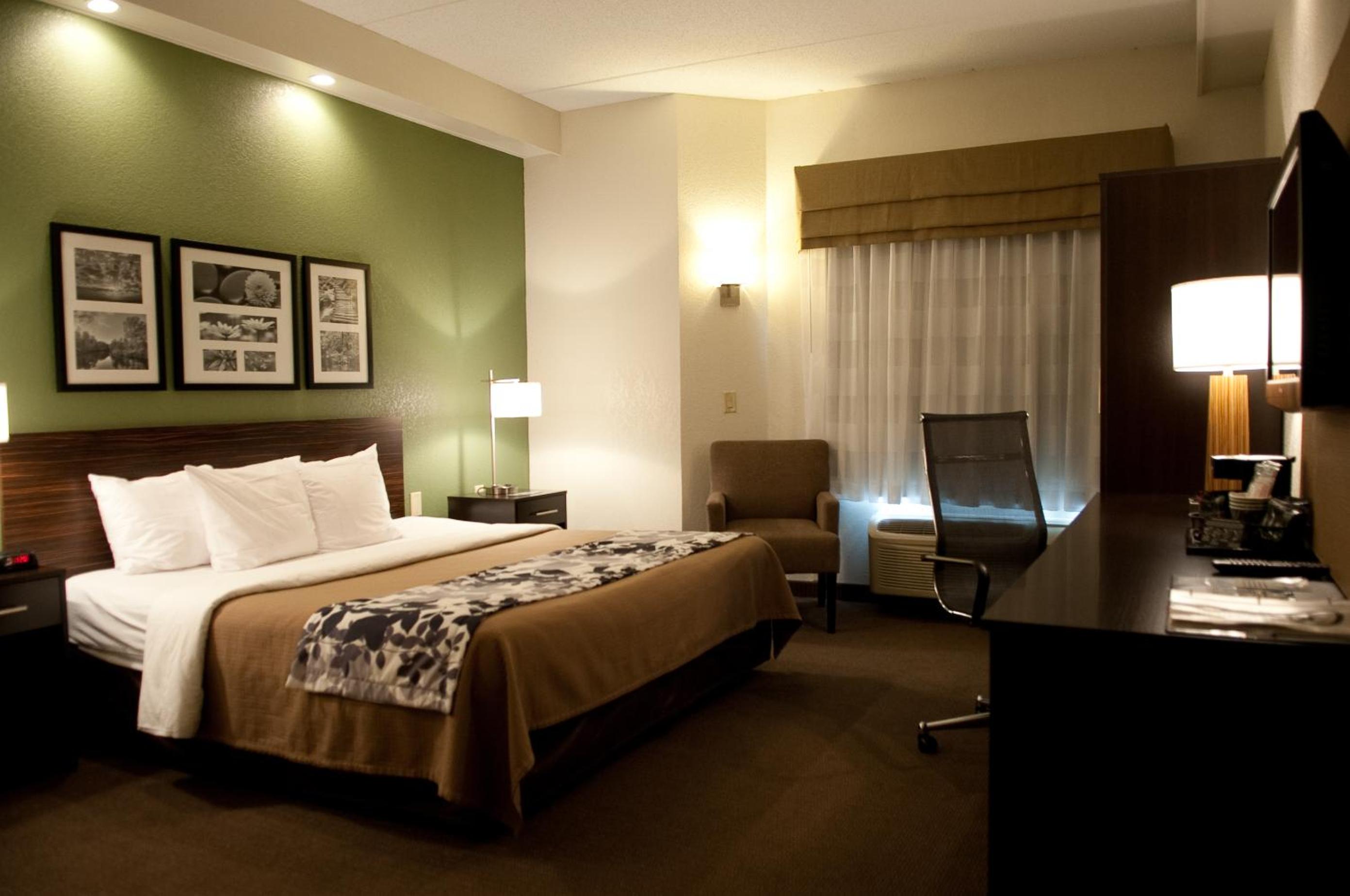 King Room - Non-Smoking - Photo 3