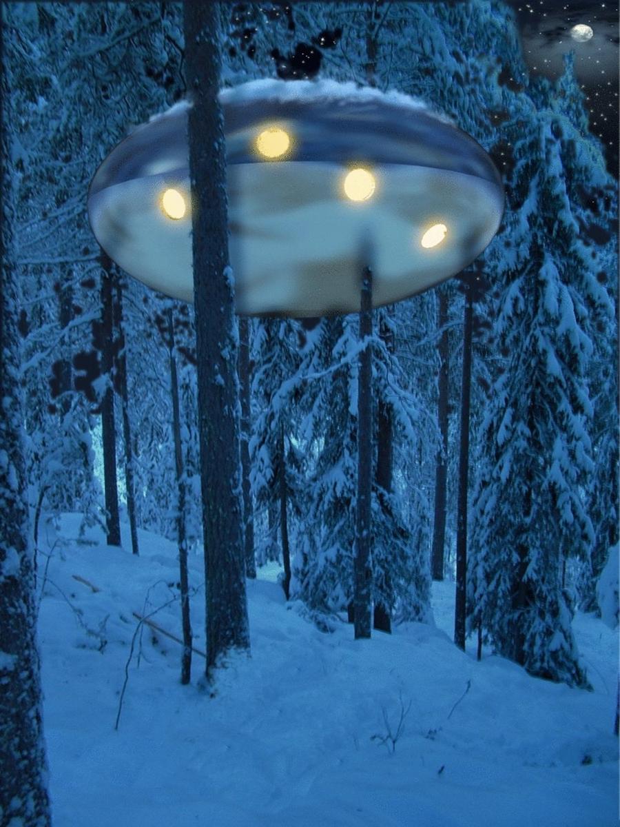 The Ufo - Photo 4