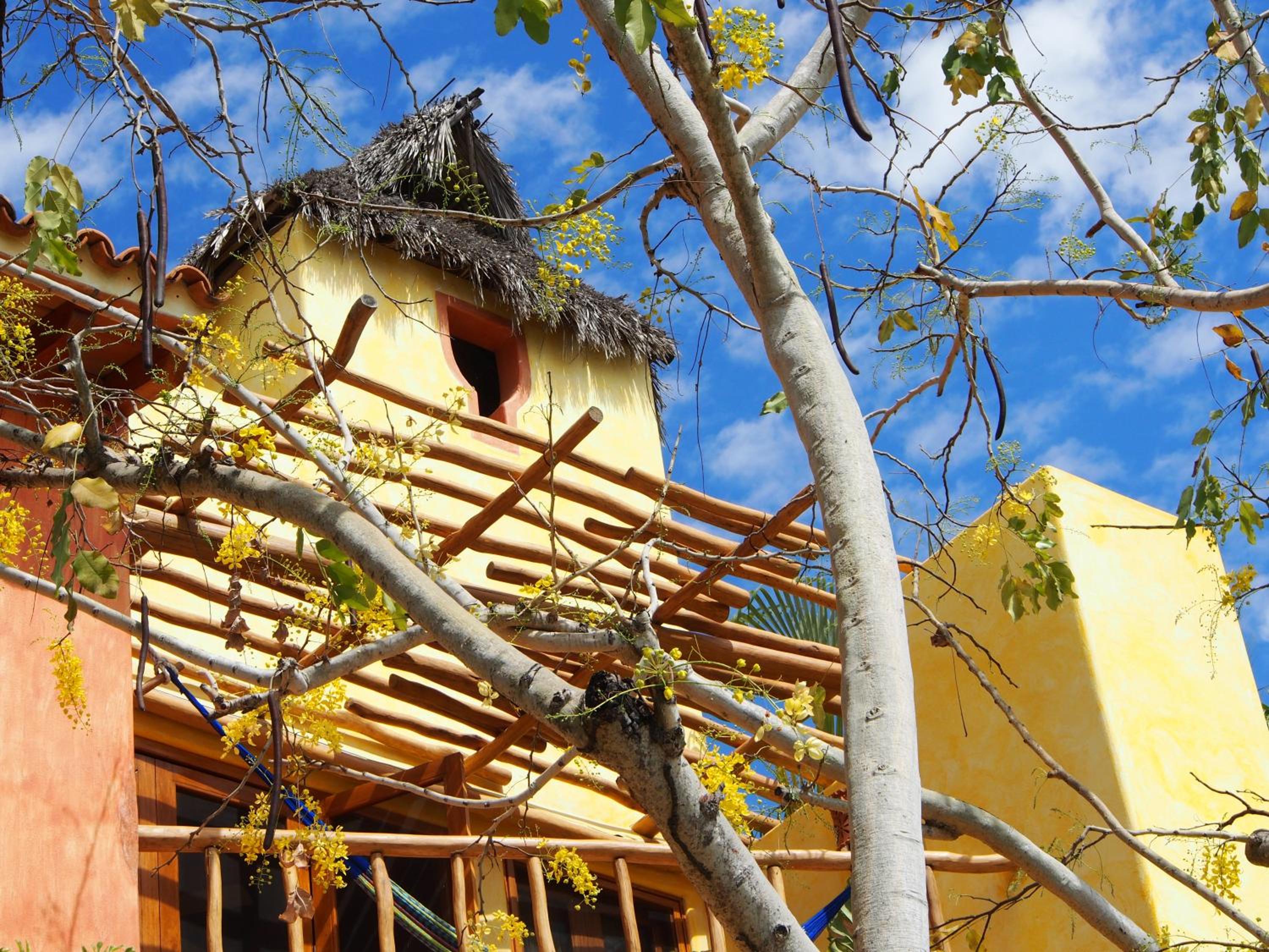 Two-Bedroom Villa - Photo 3
