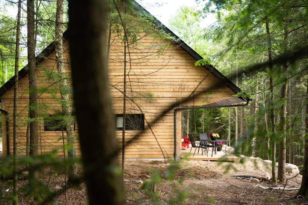 One-Bedroom Chalet photo 3