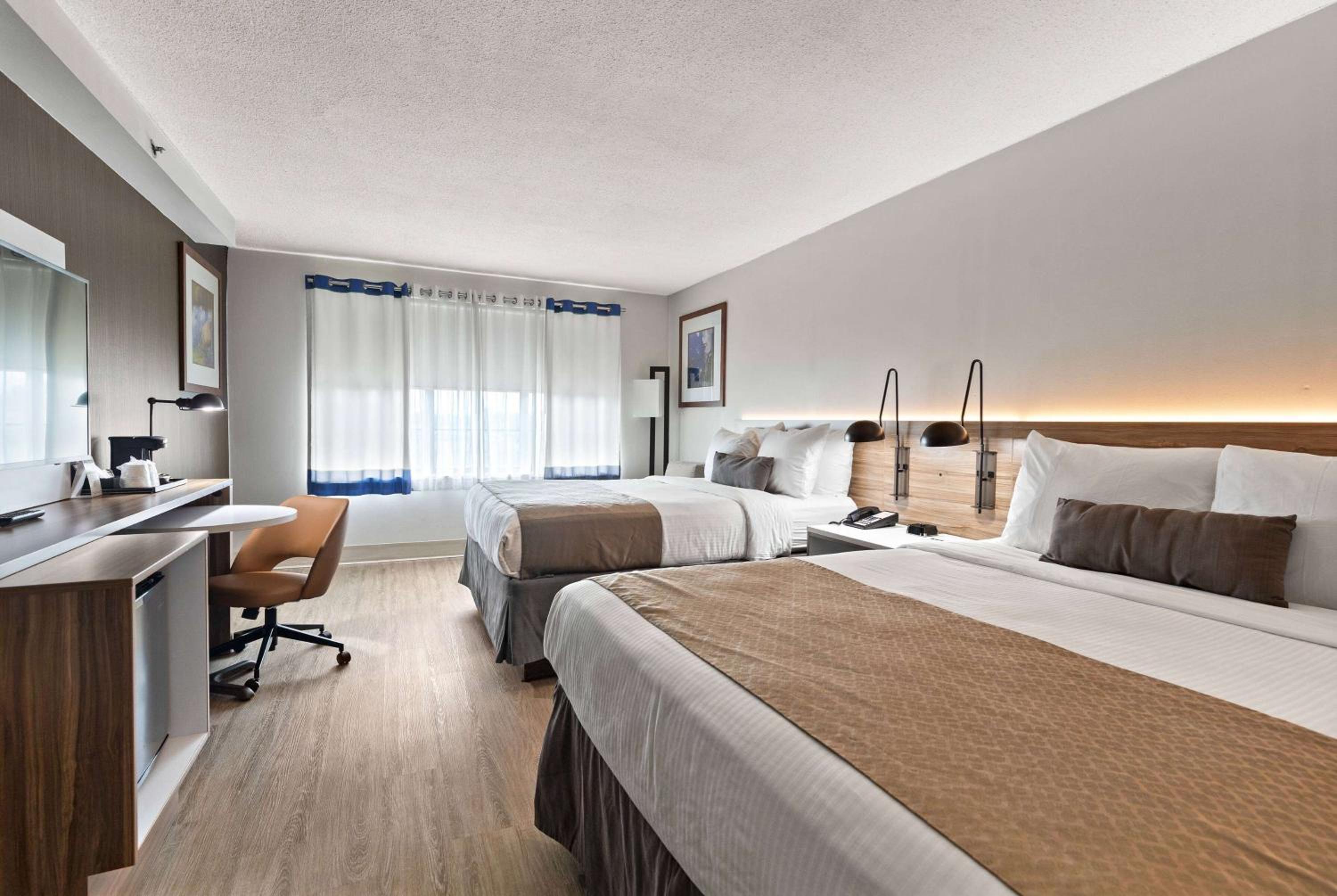 Standard Double Room - Photo 3