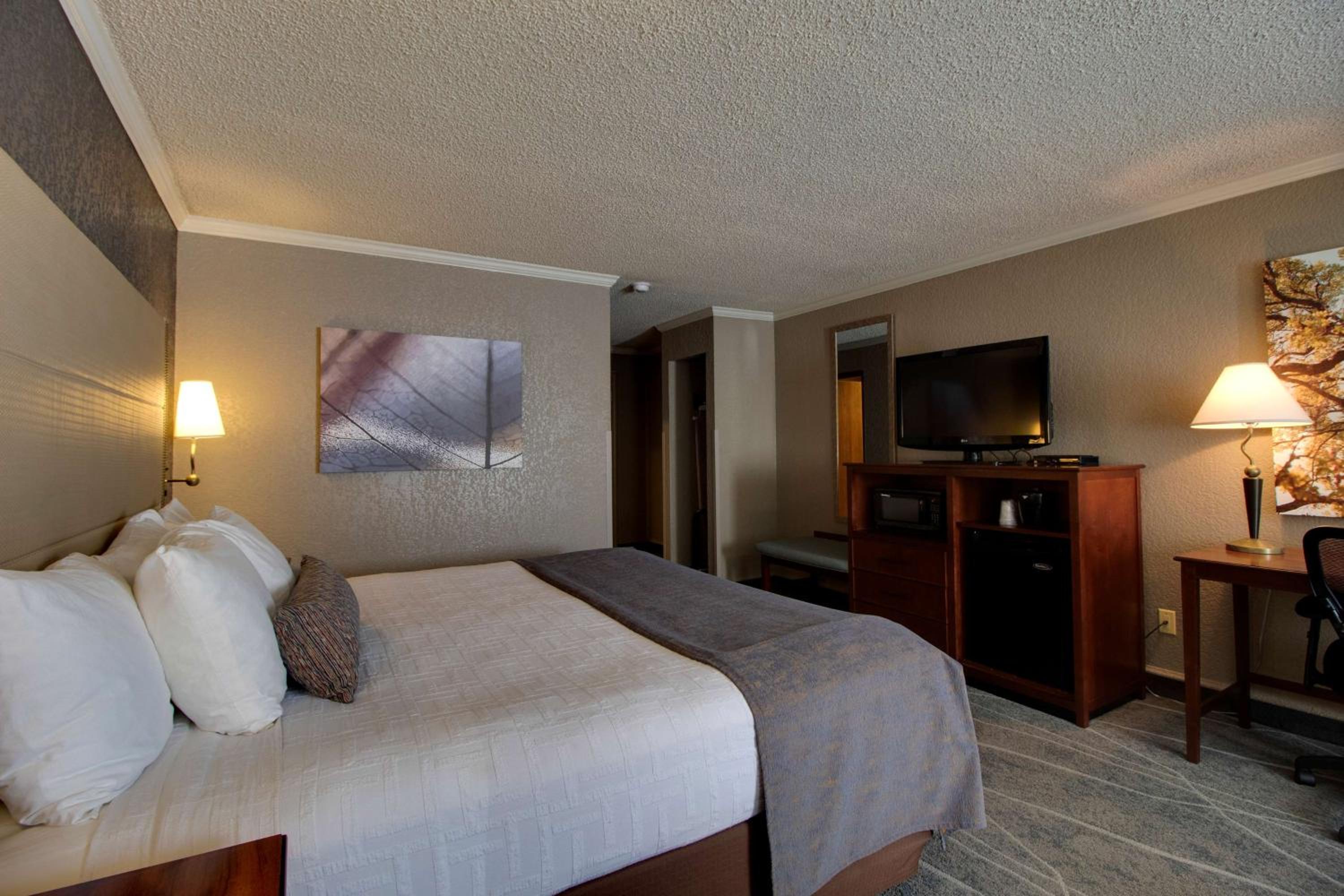 King Room - Non-Smoking