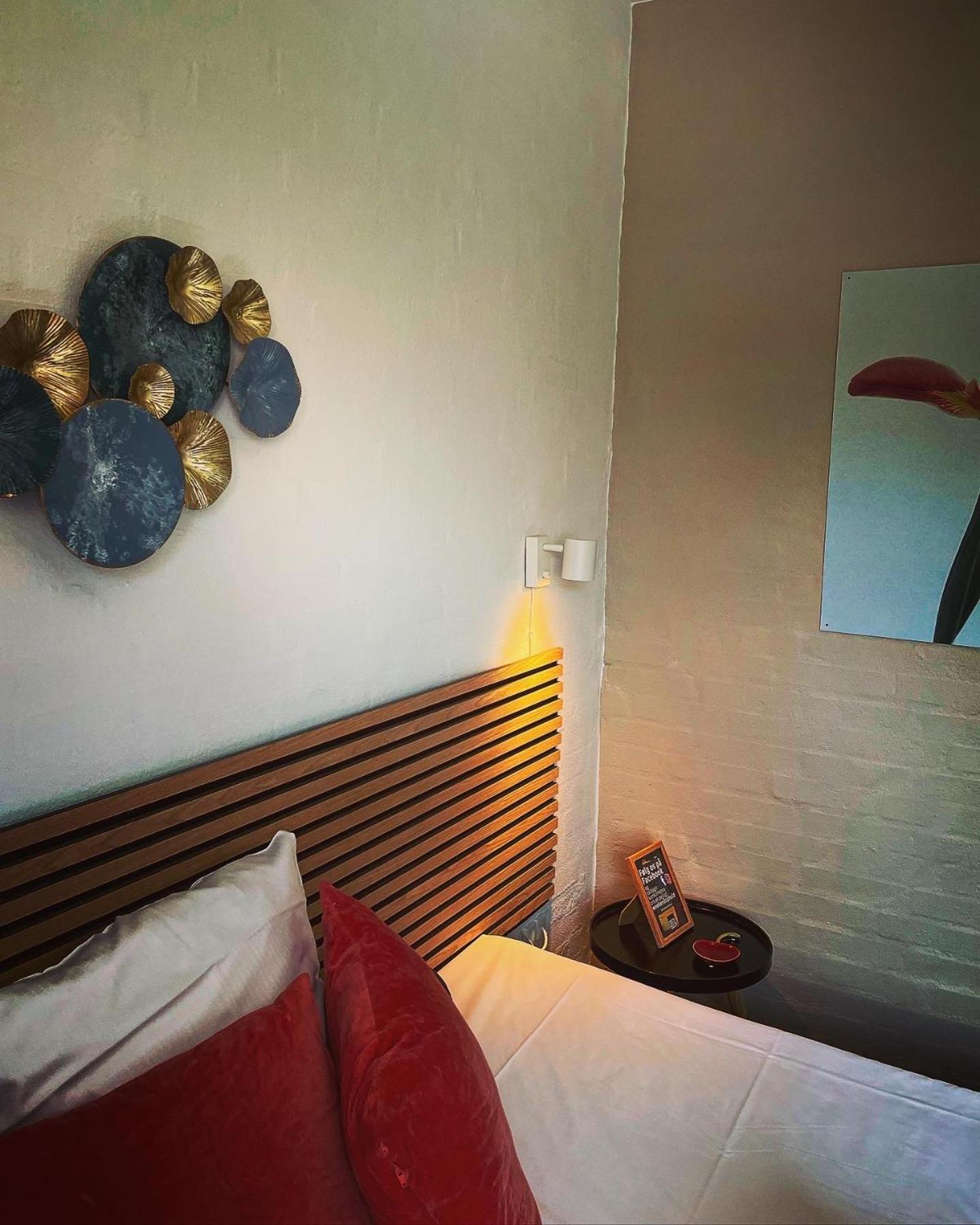 Single Room photo 3