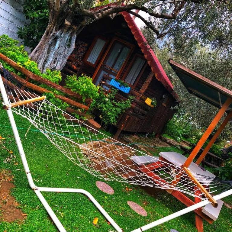 Family Bungalow photo 2