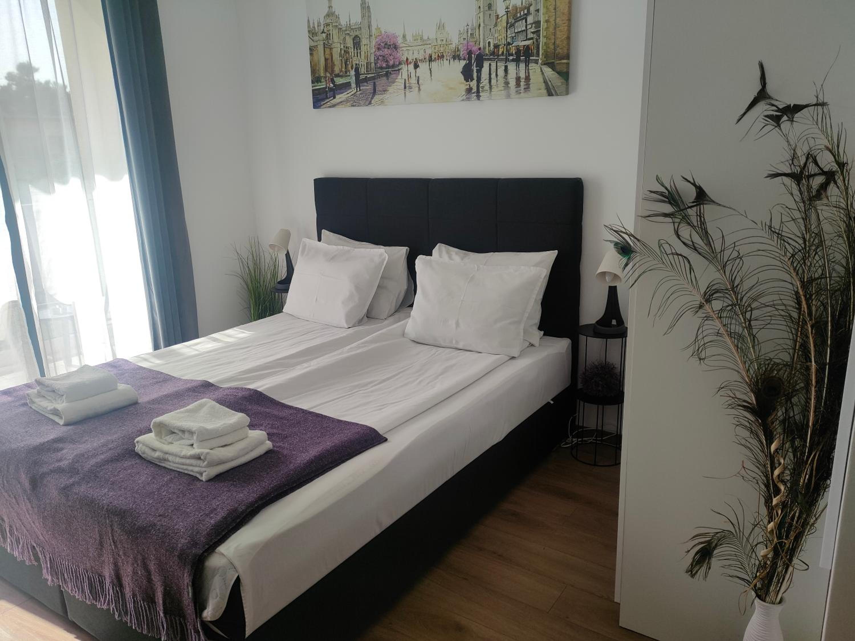 King Studio with Sofa Bed - Photo 6