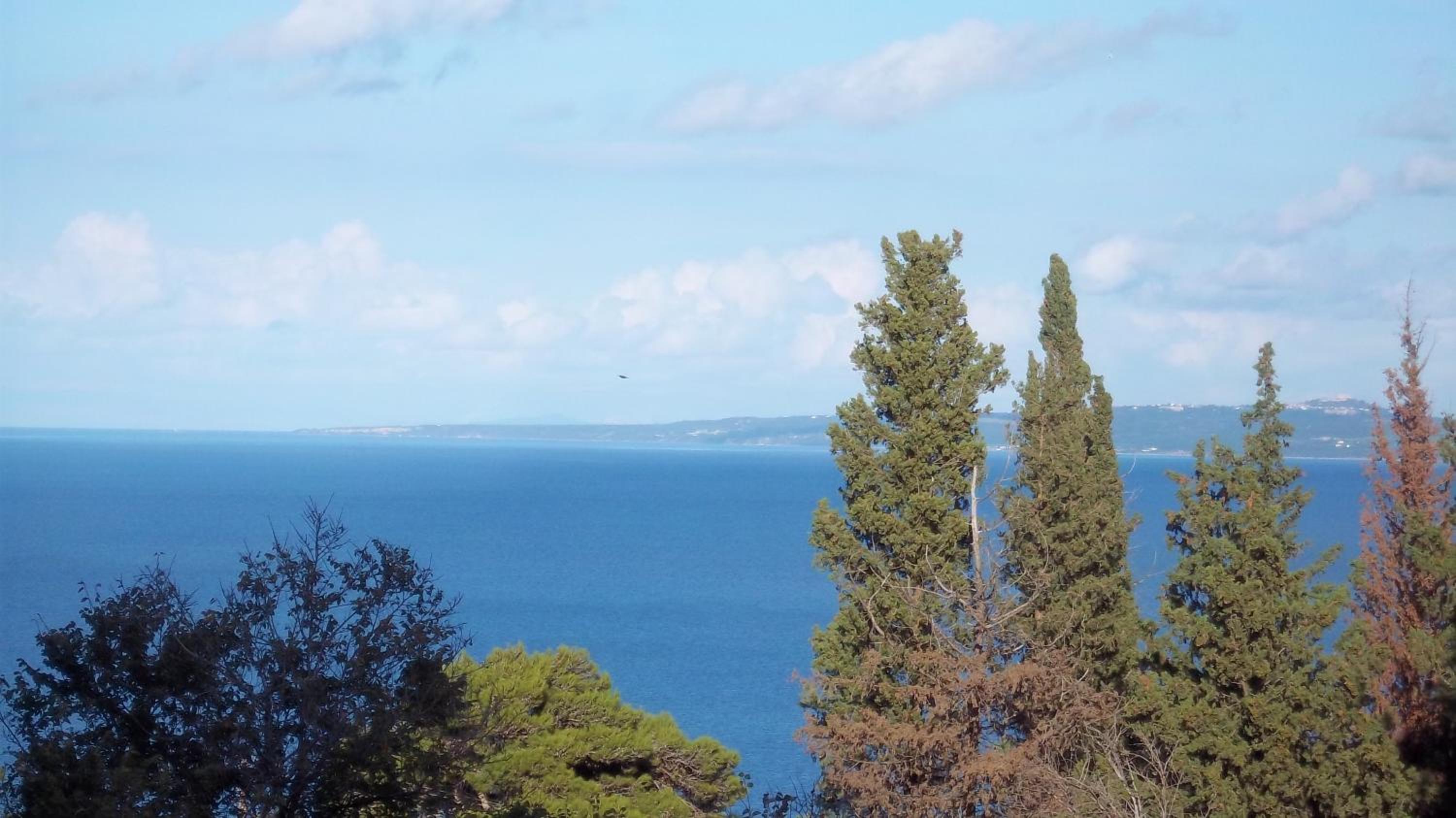 Double or Twin Room with Sea View - Photo 8