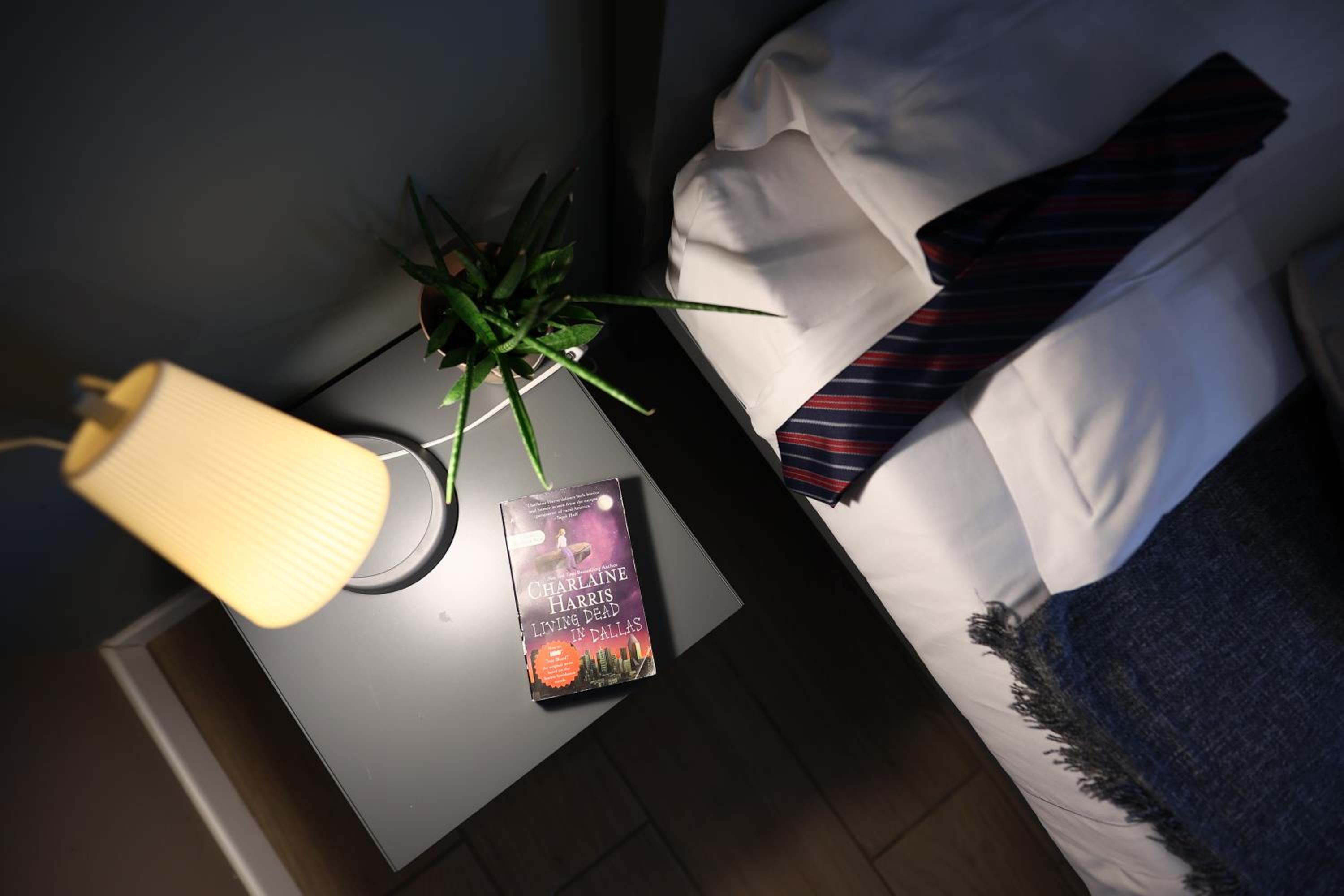 Single Room photo 3