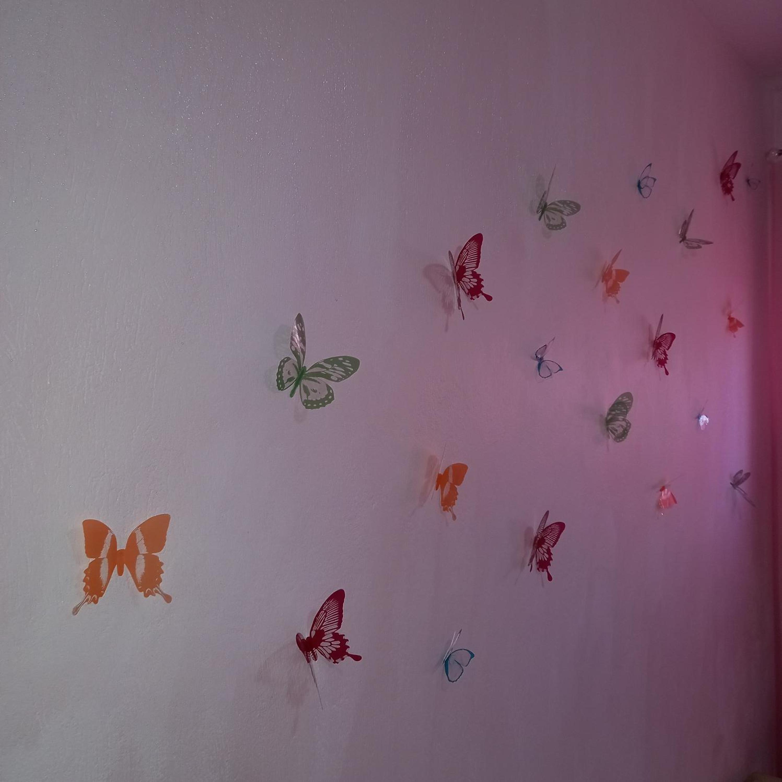 Apartment - Photo 6