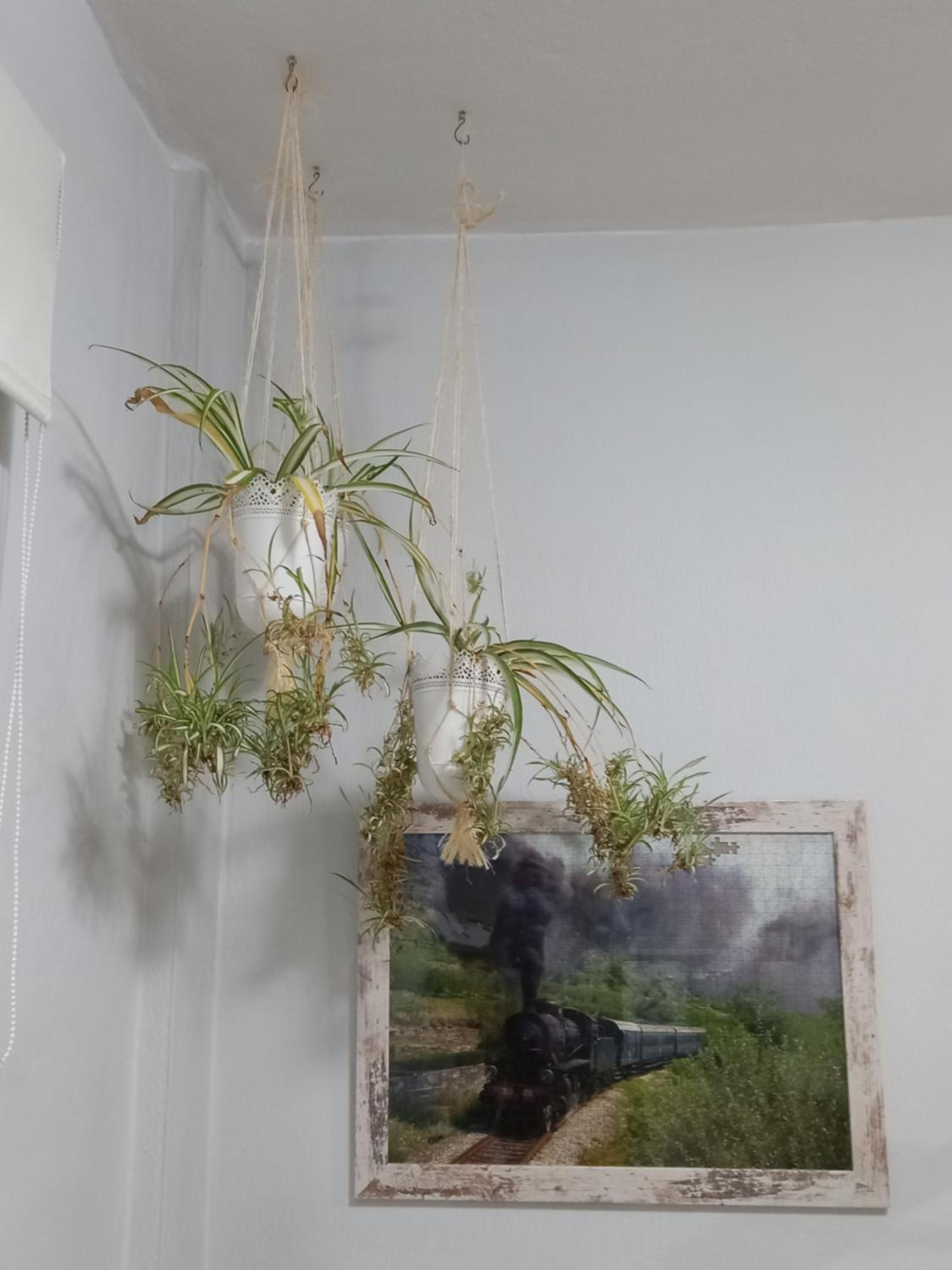 Apartment - Photo 15