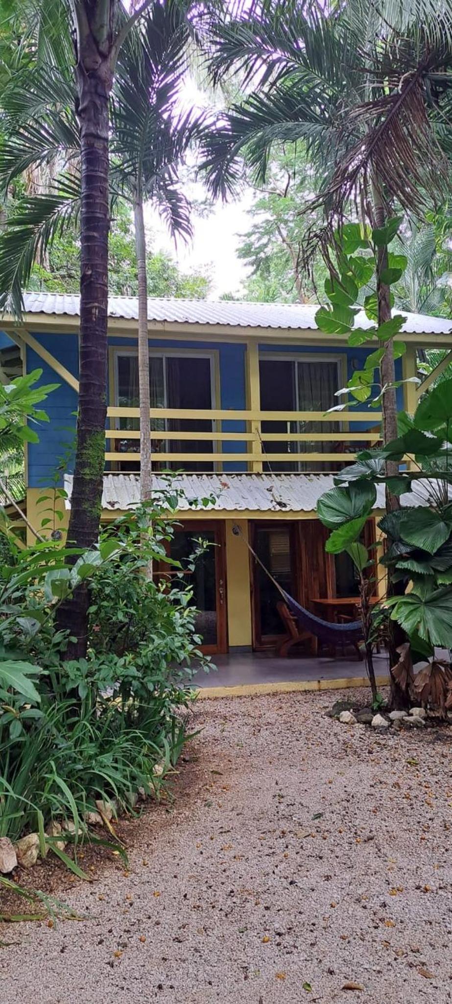 Family Bungalow photo 3