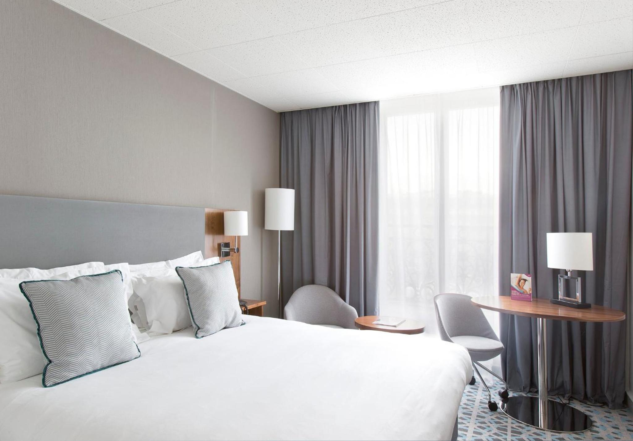 Junior King Suite with Sofa Bed