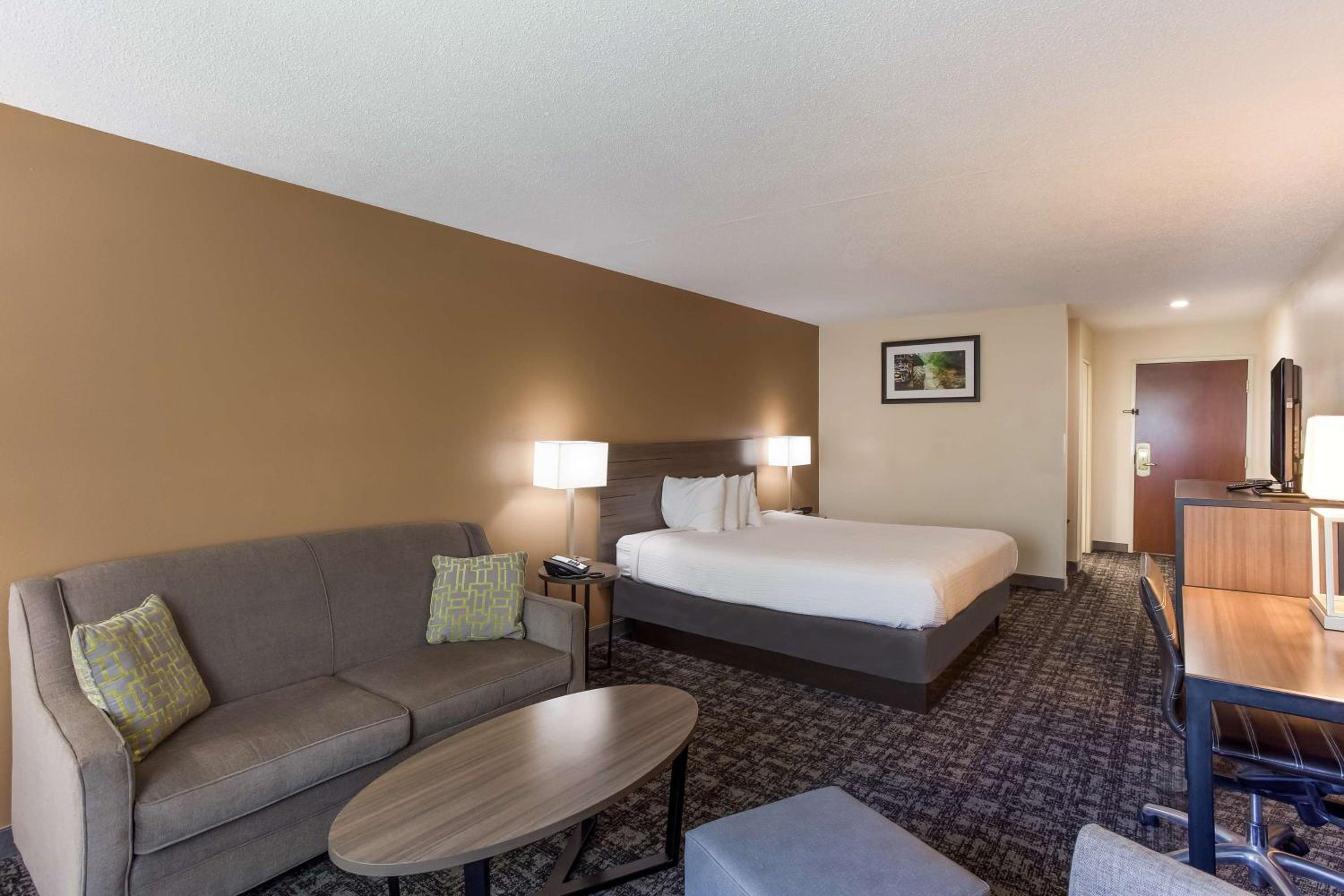 Executive King Room photo 3
