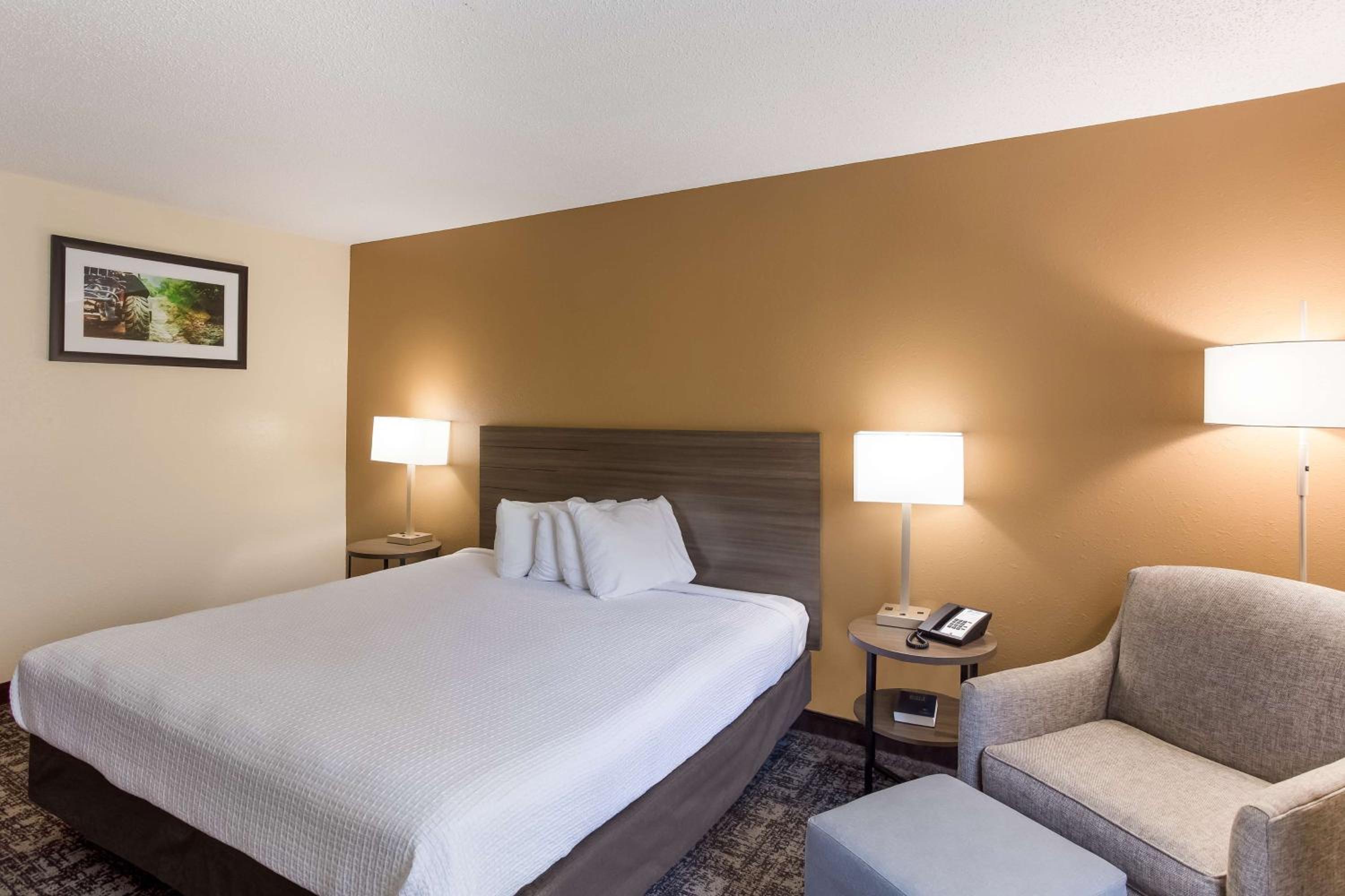 King Room with Roll-in Shower - Disability Access/Non-Smoking photo 3