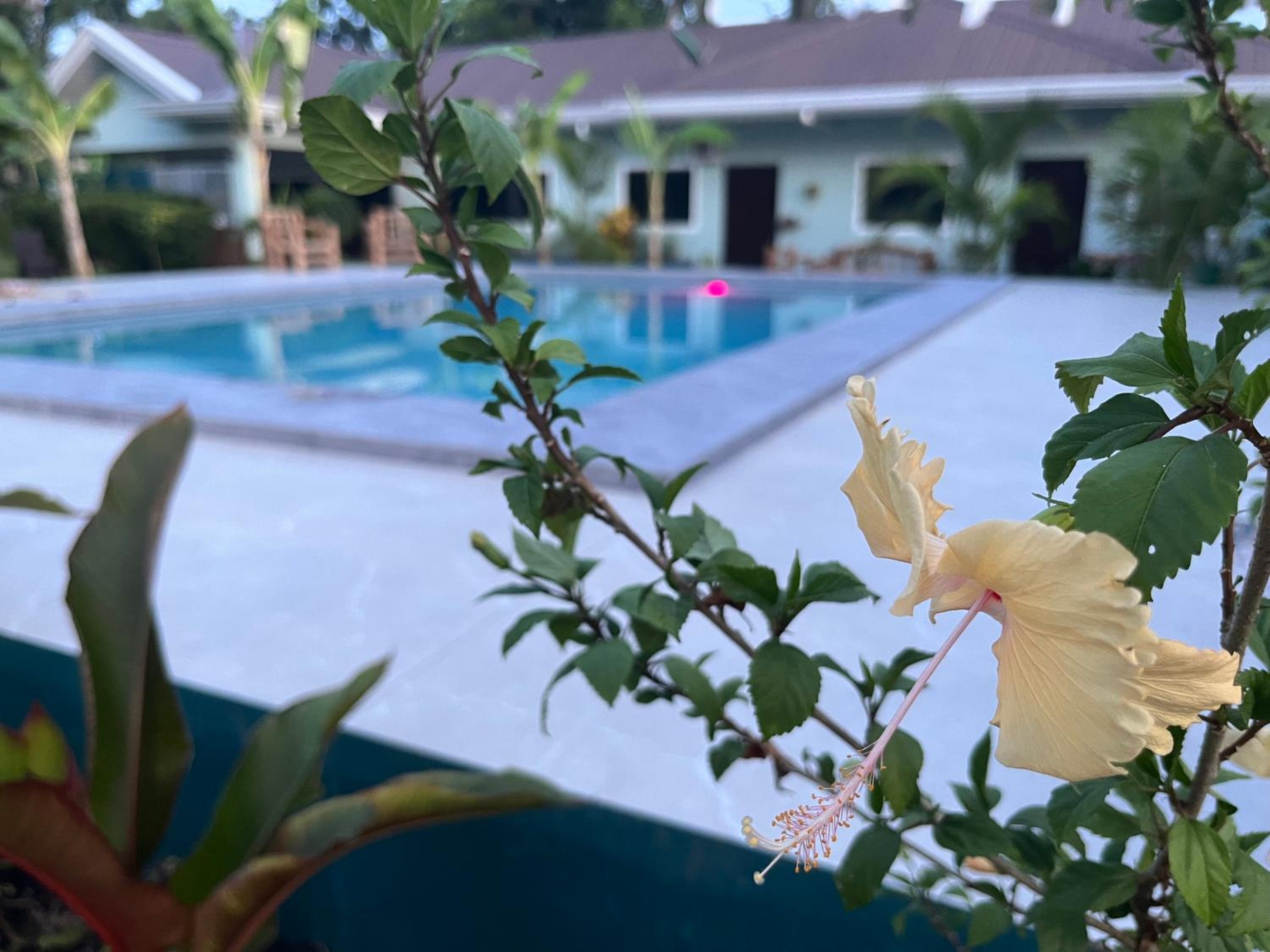 Apartment with Pool View  - Photo 11
